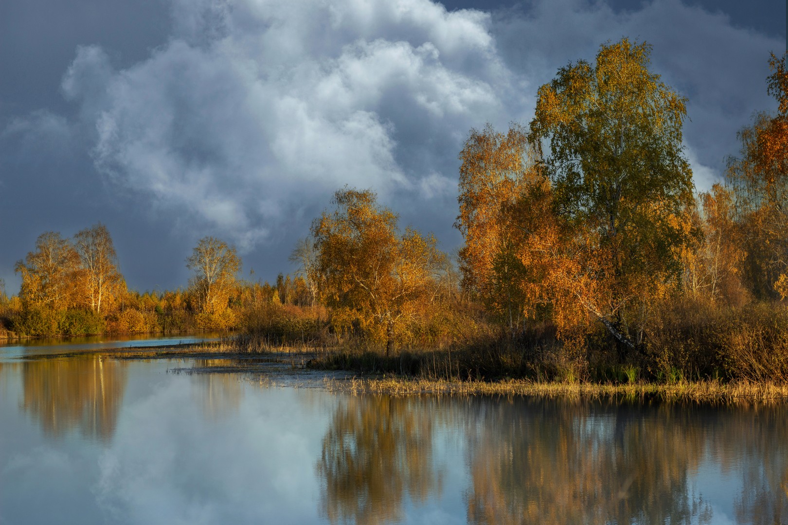 , Александр Канцур