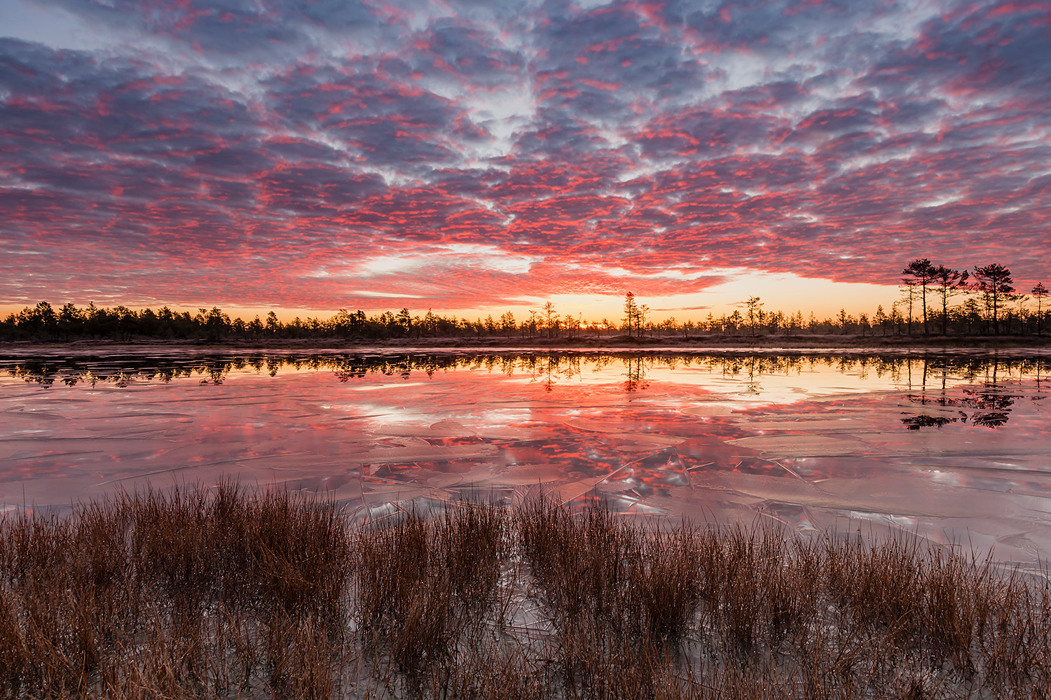, Абросимов Александр