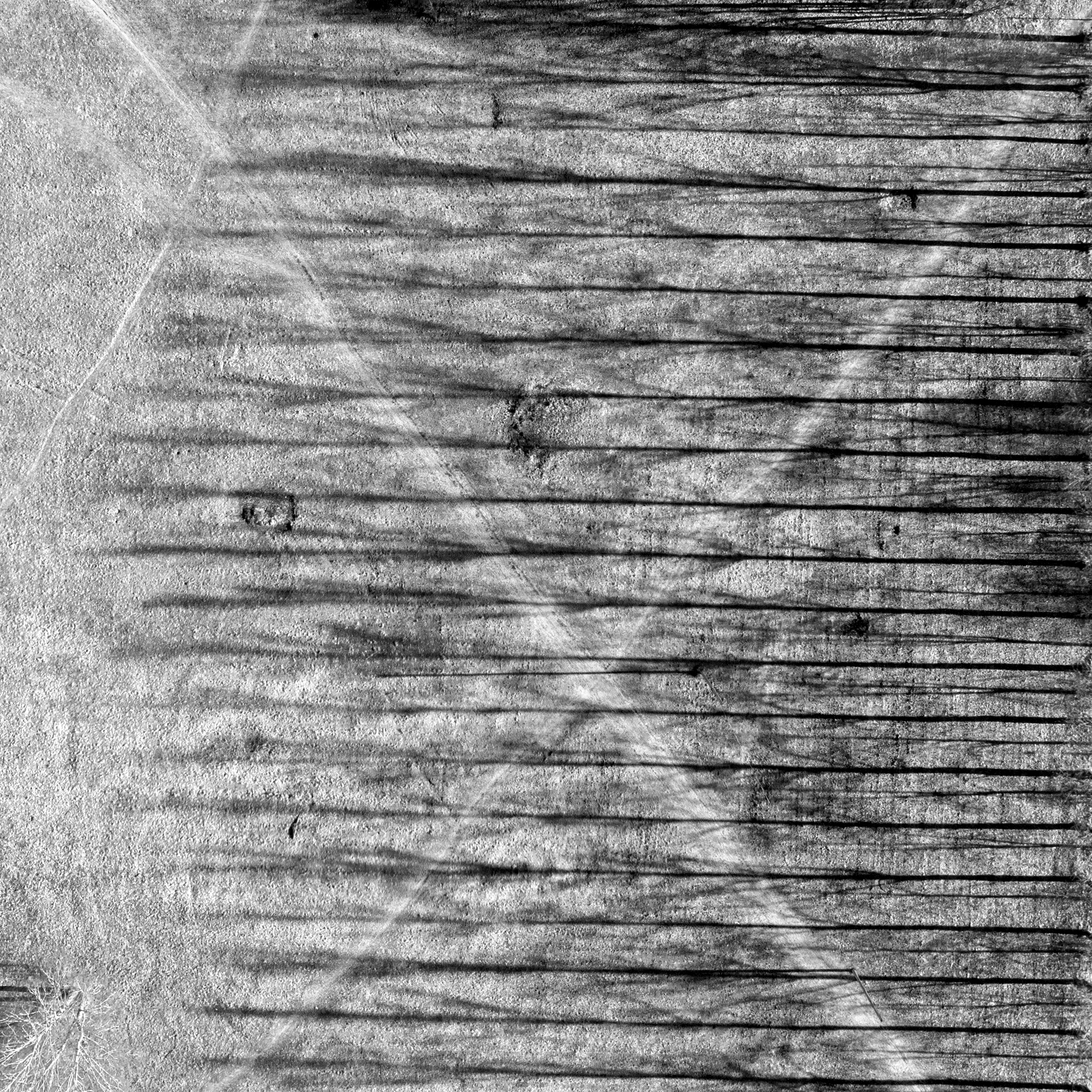 , Абрамов Андрей