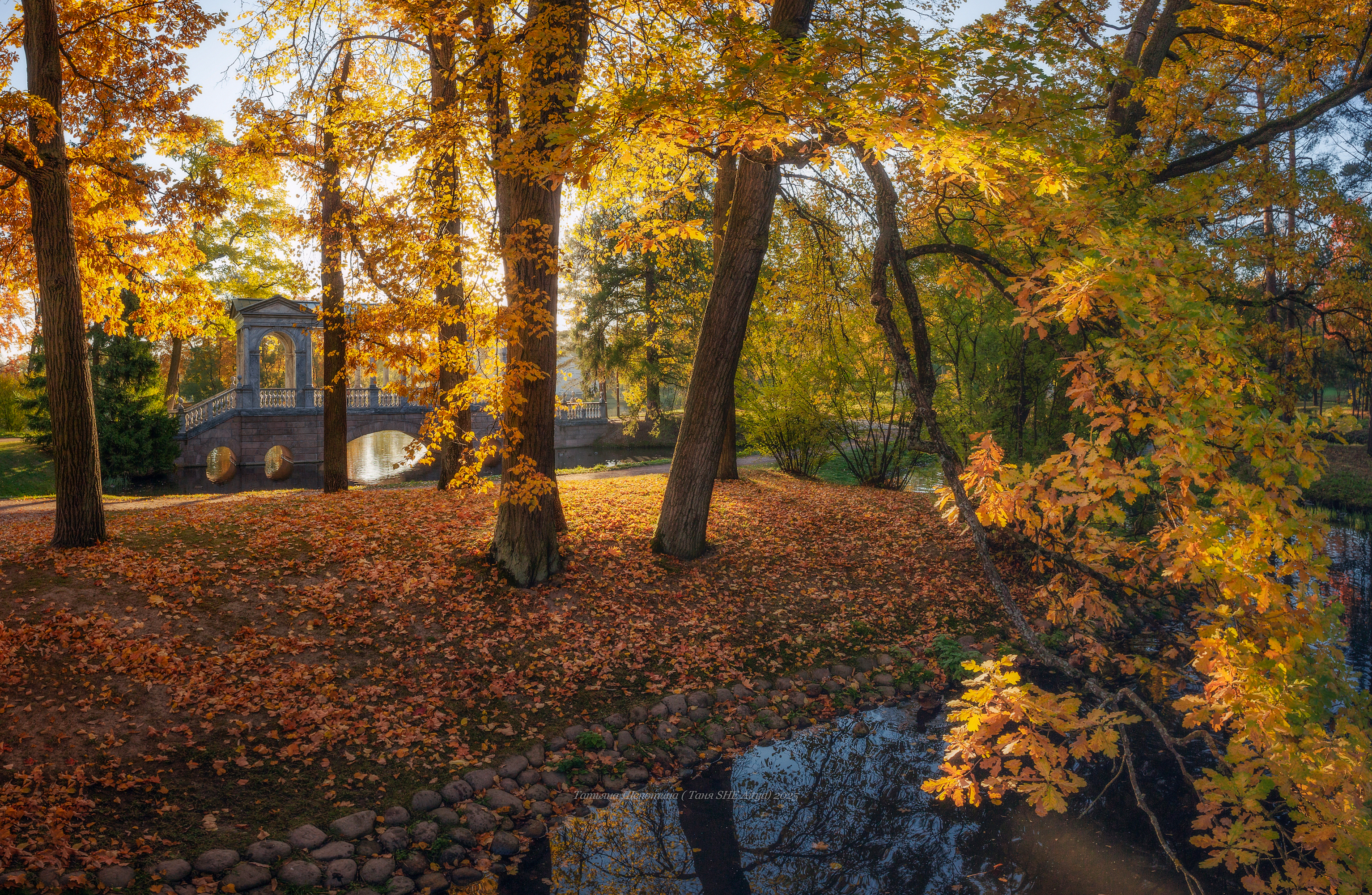 питер, пушкин, царское село, царское,  landscape, tsarskoye selo, autumn,  городской пейзаж, санкт-петербург, рассвет, Щепотина Татьяна