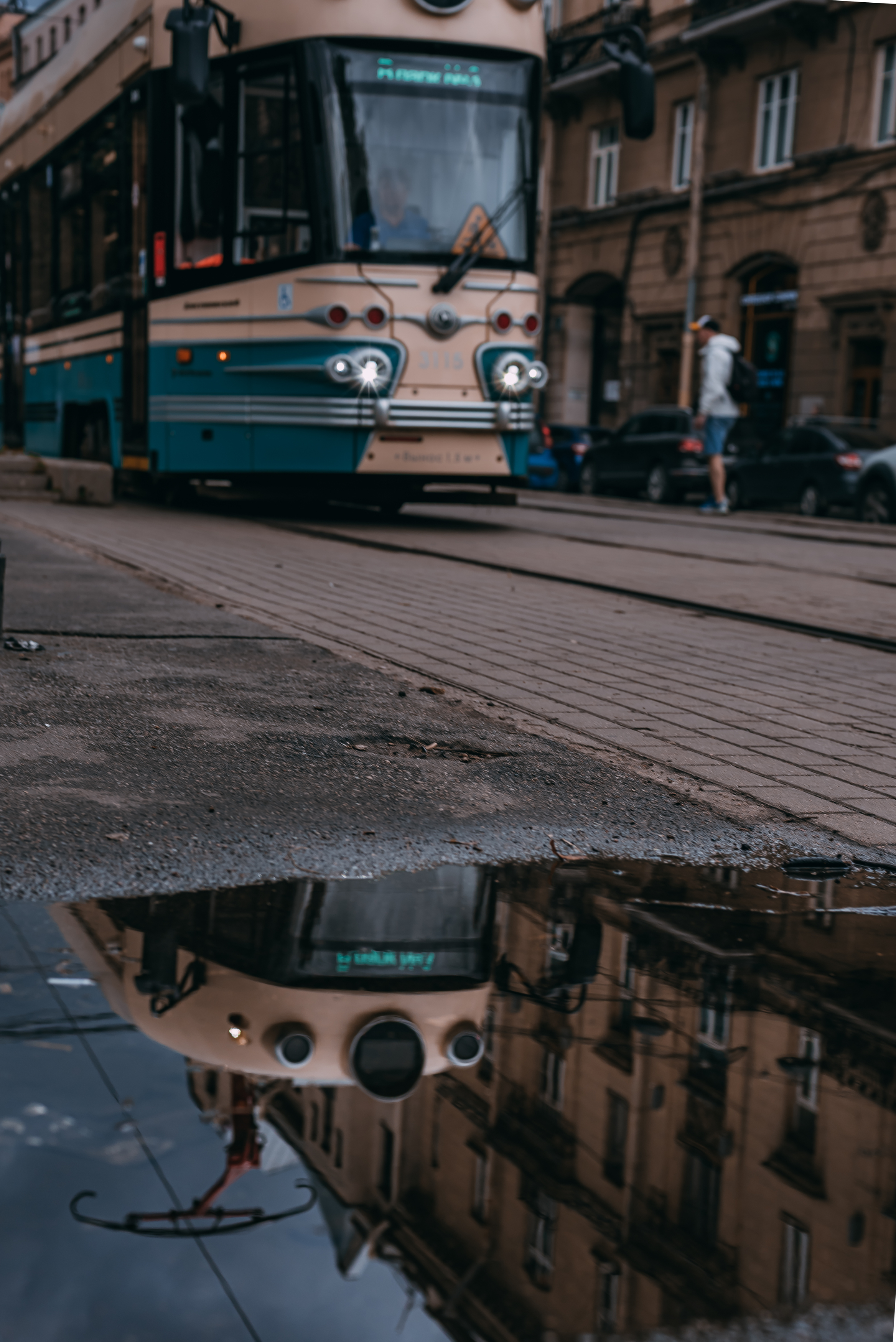 , Дарья Шевченко