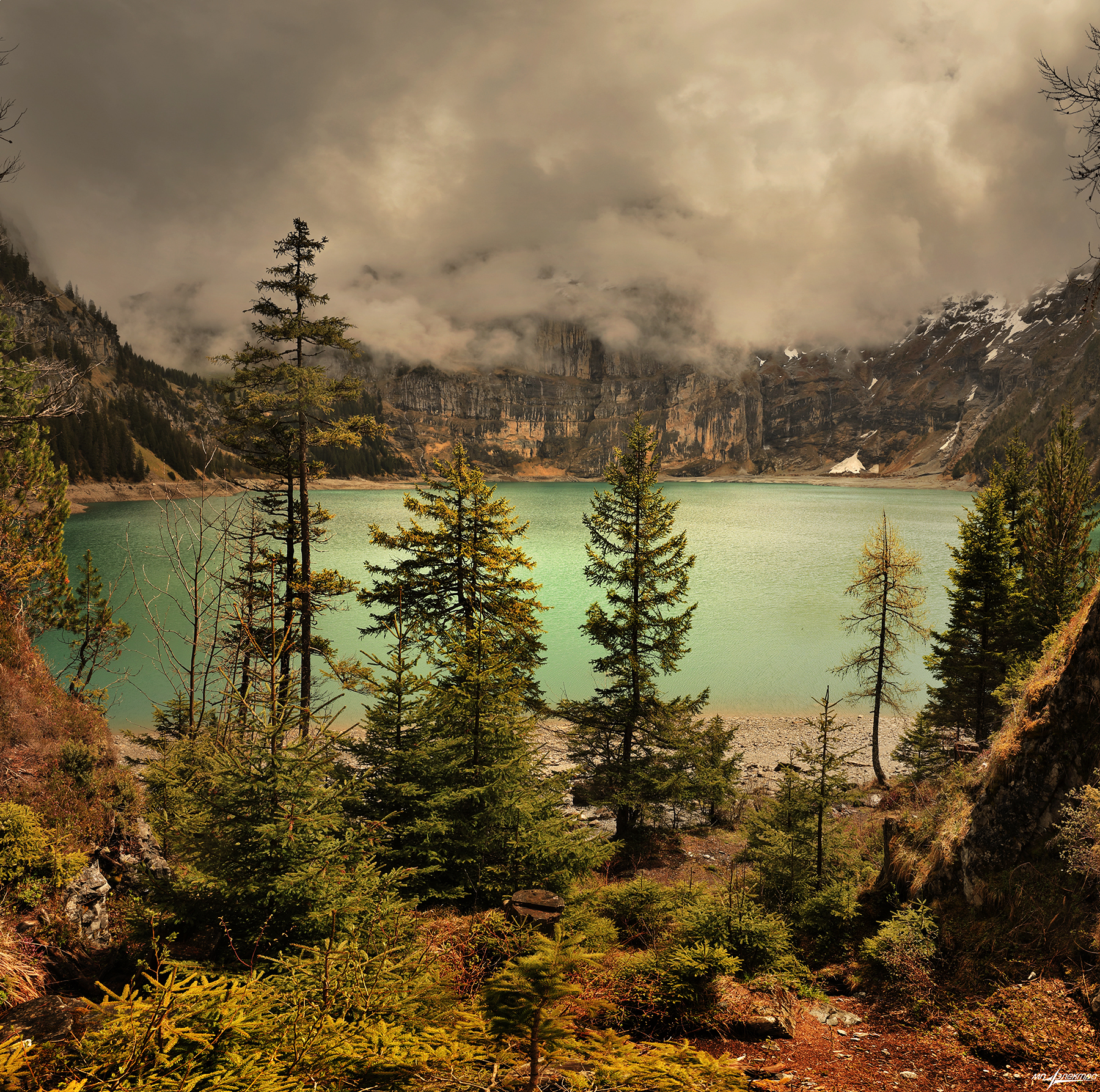 swiss, Матвеев Николай