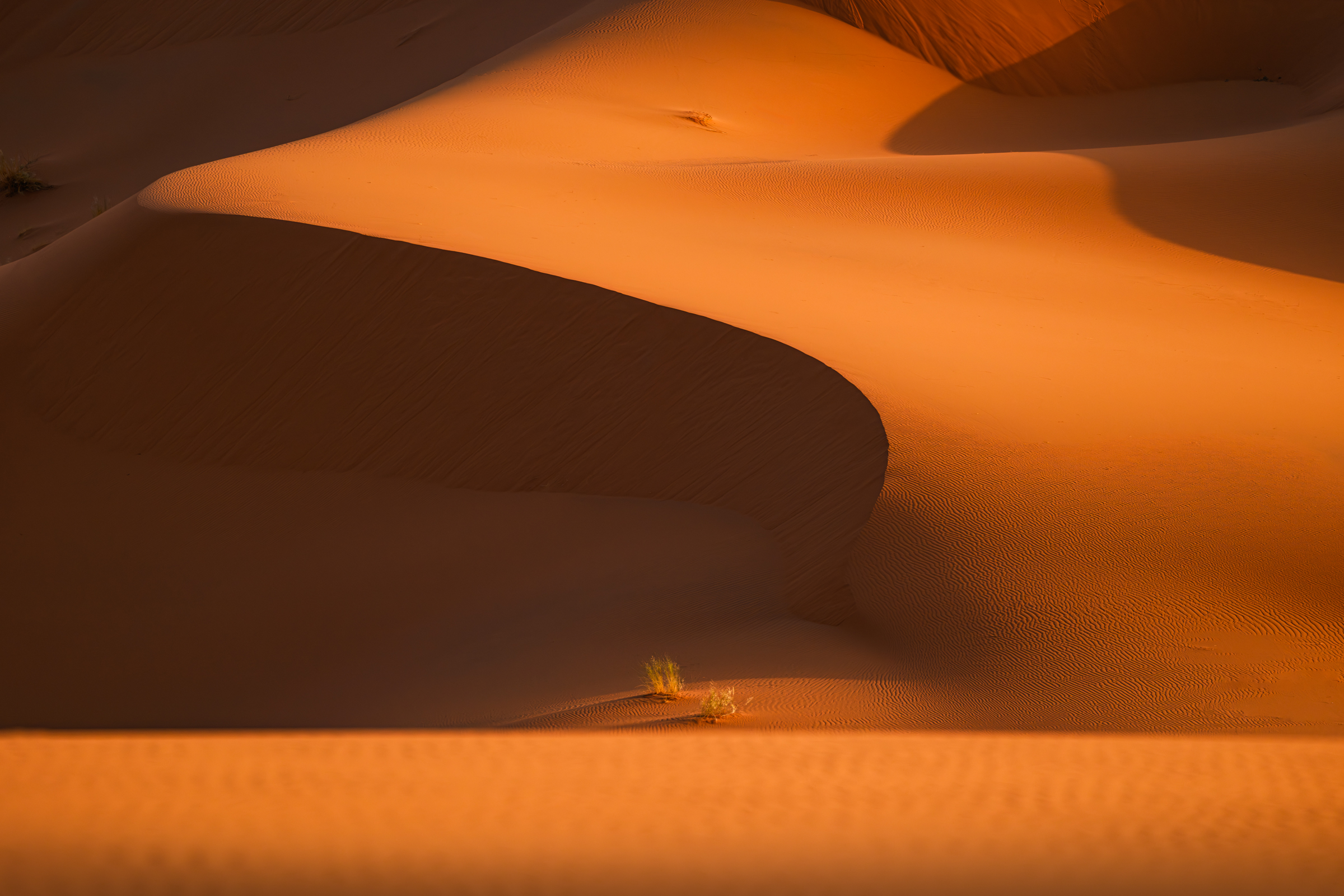maroc, marocco, sahara desert, desert, sand, orange, light, марокко, пустыня, сахара, пейзаж, дюны, песок , Kaznov Stanislav