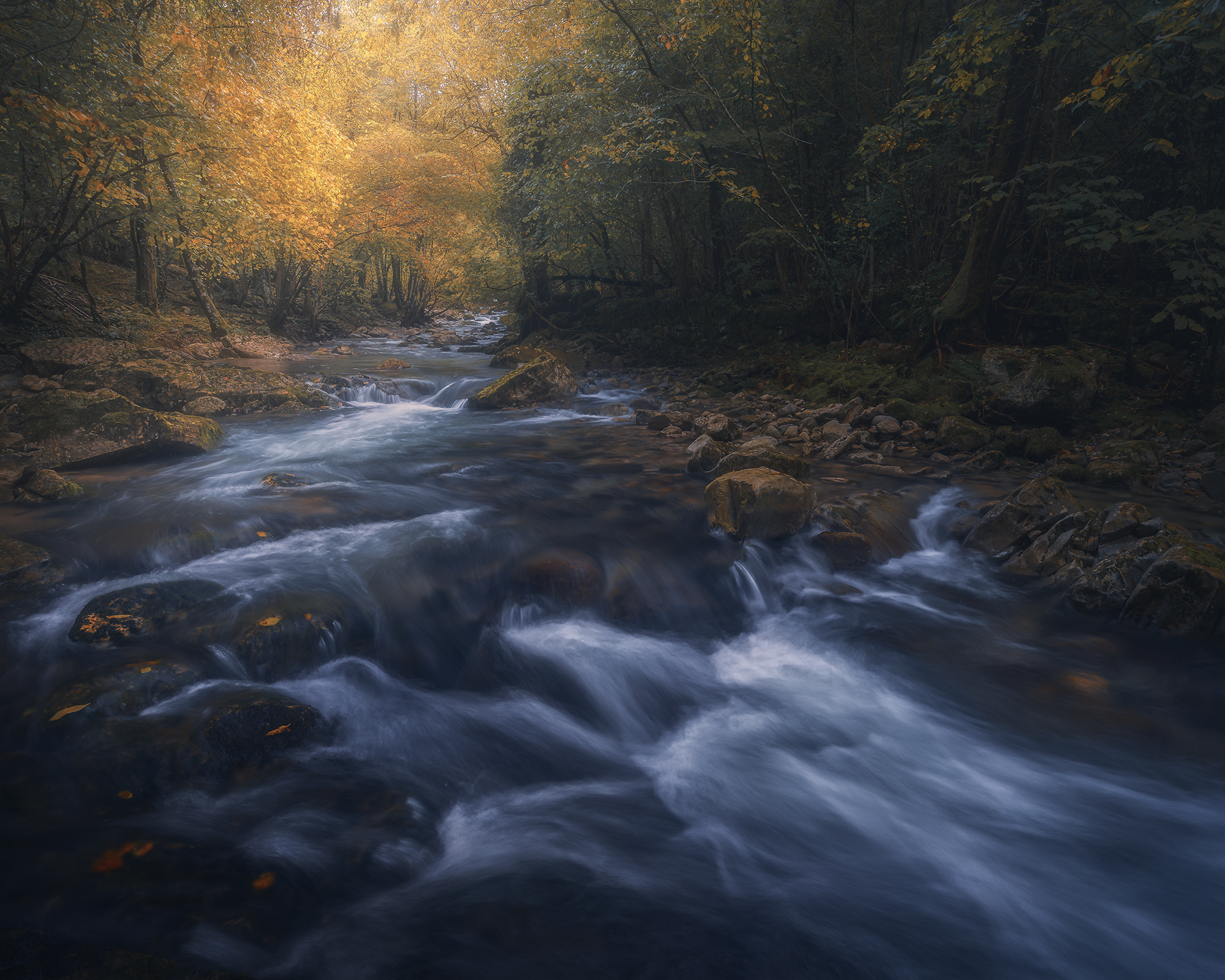 , de Franzoni Thomas