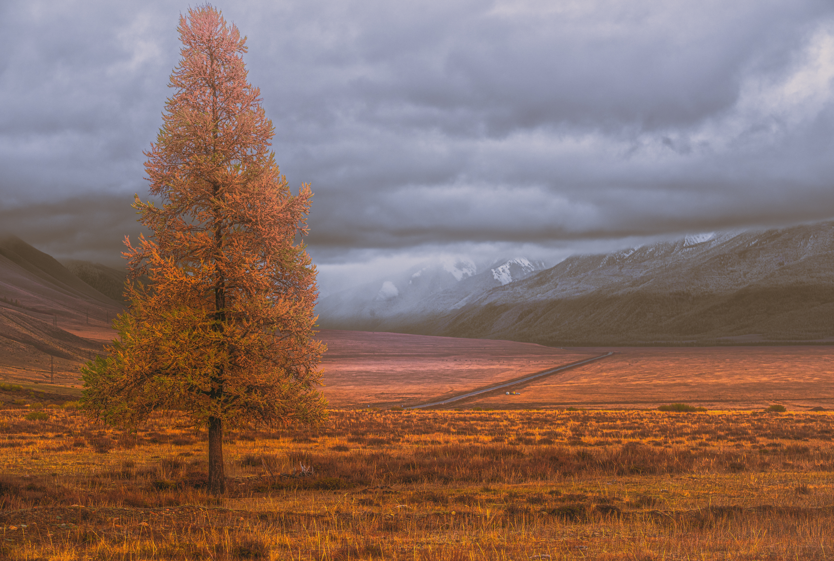 , Усанин Максим