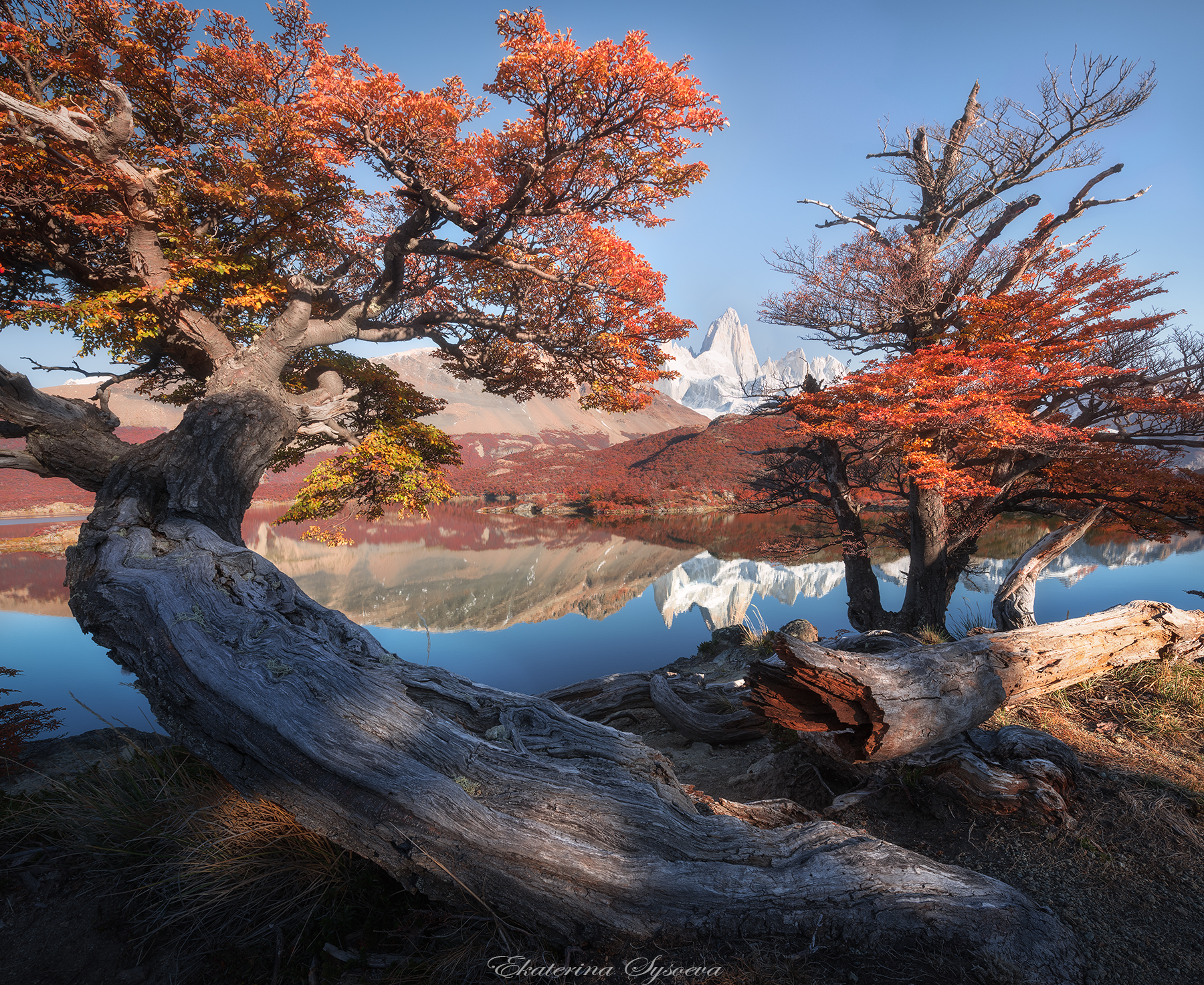 , Екатерина Сысоева