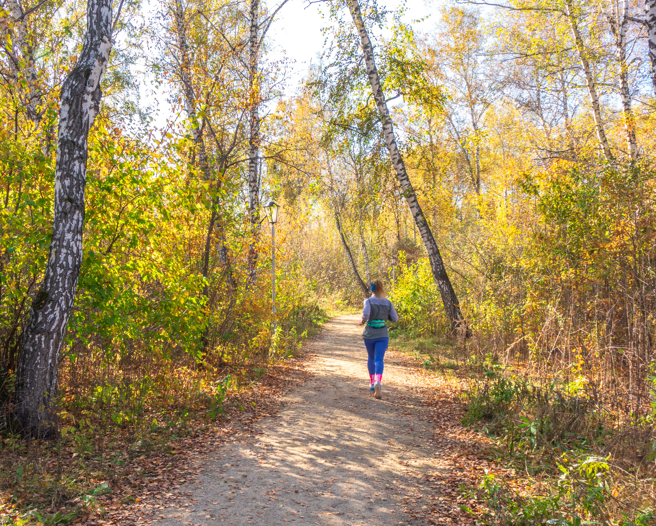 , Шустиков Дмитрий