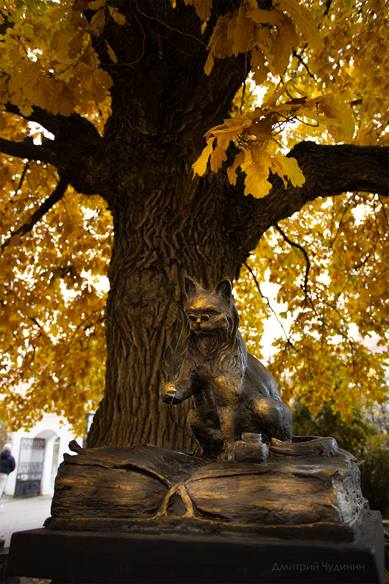 , Чудинин Дмитрий