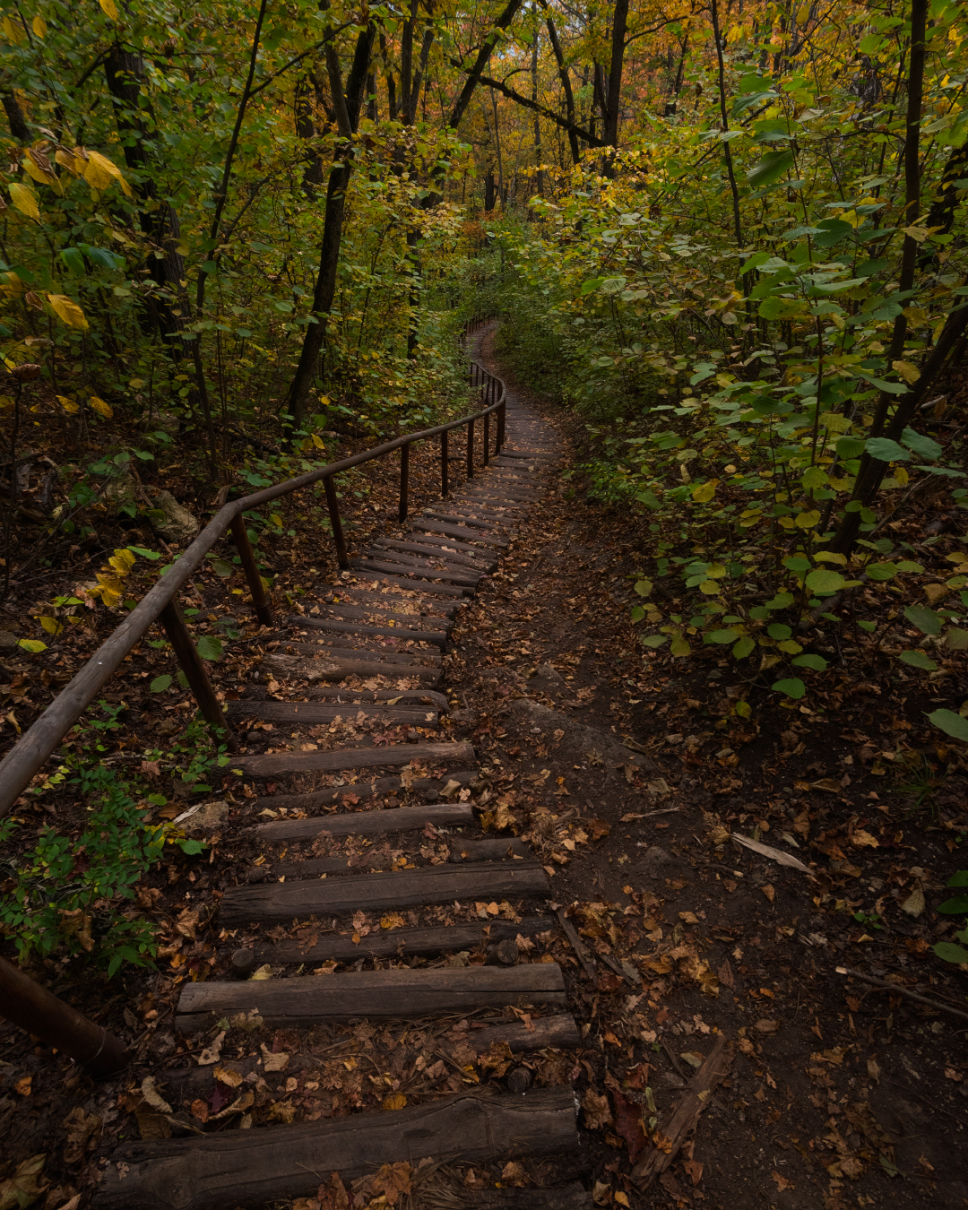 , Алексей Проняхин