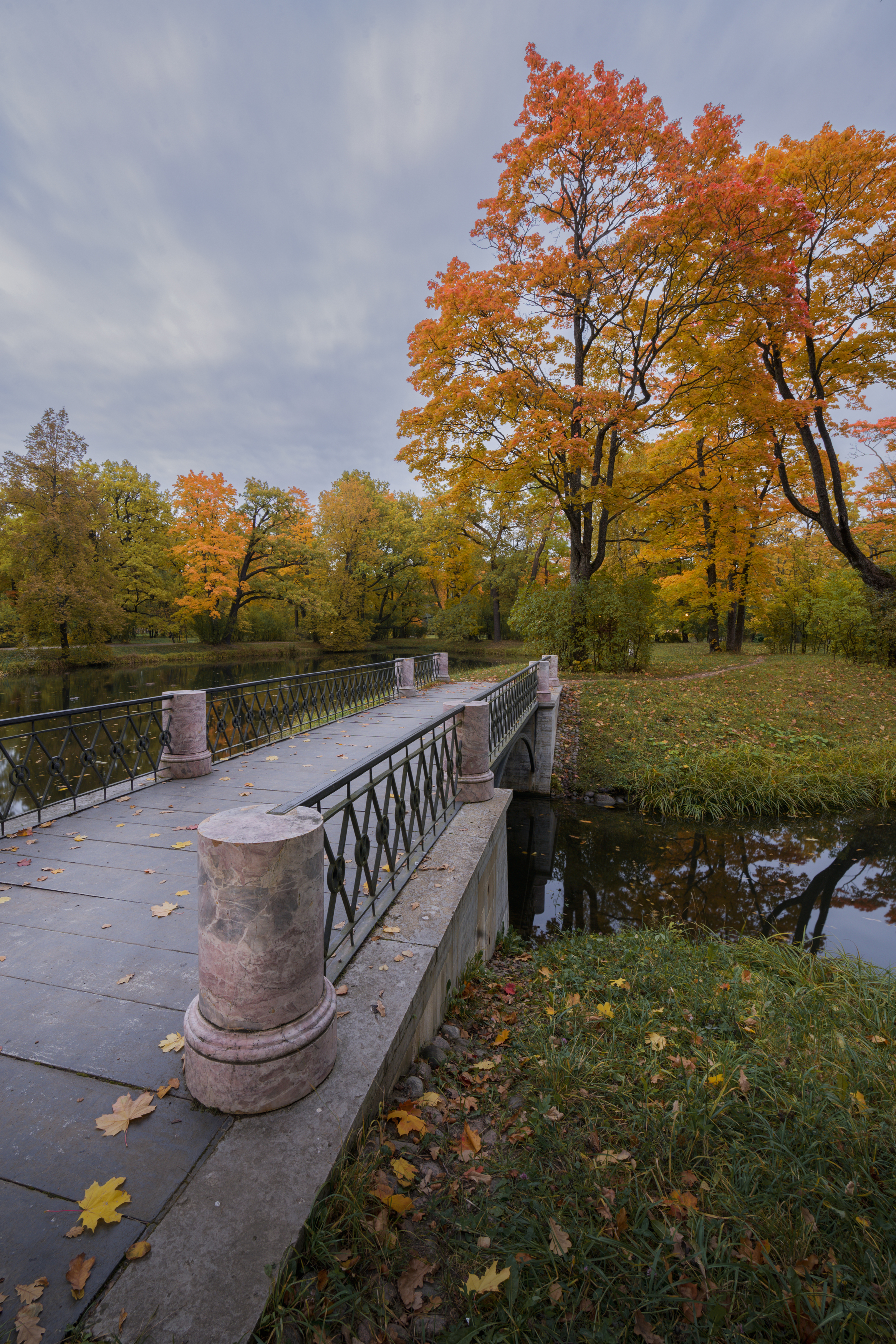 , Максим Вышарь