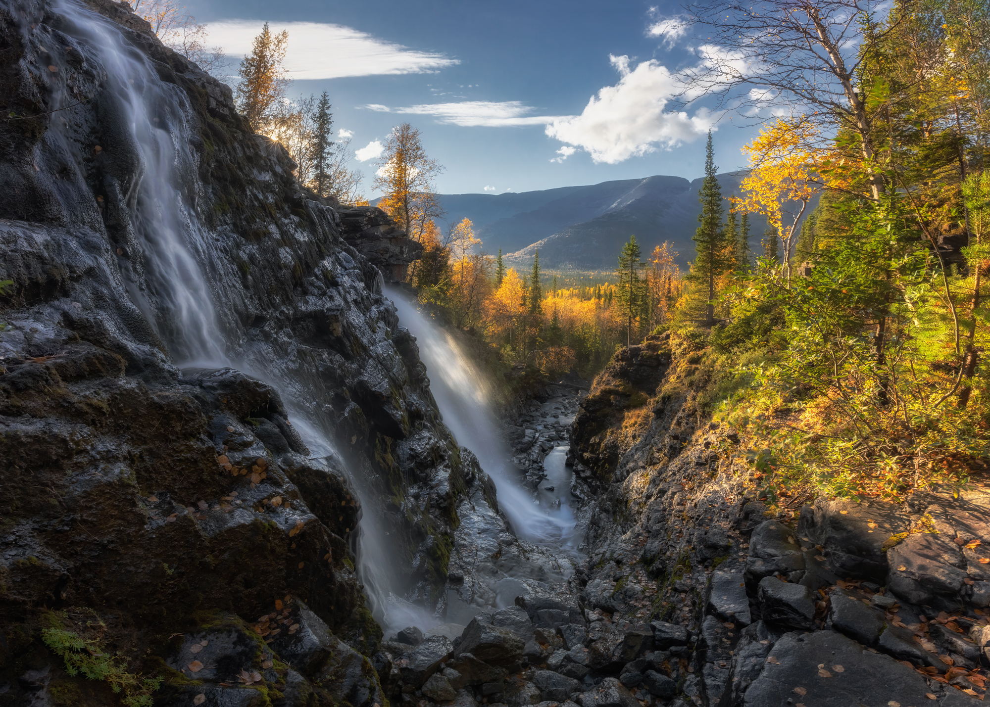 , Столыпин Юрий