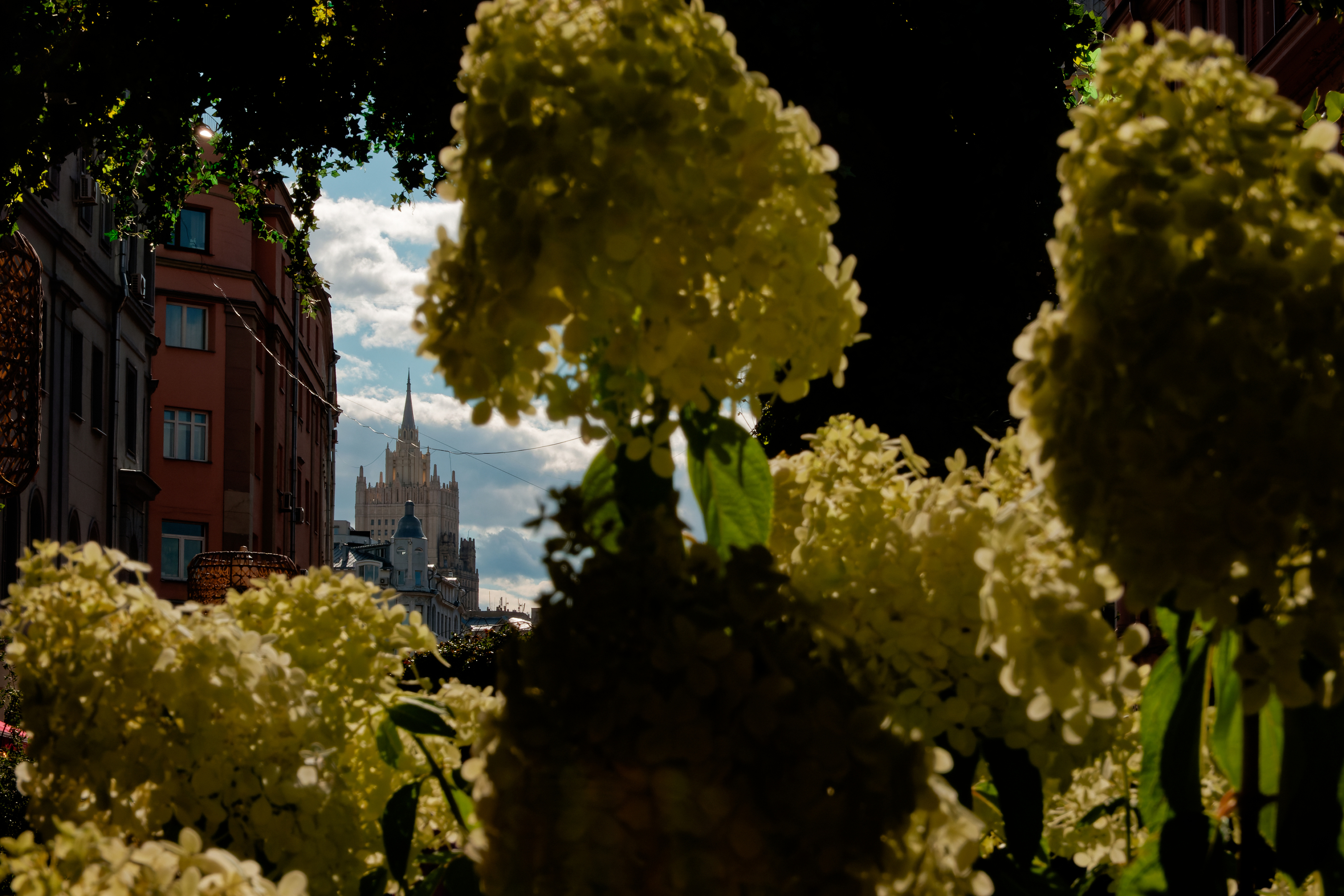 , Какоткин Роман