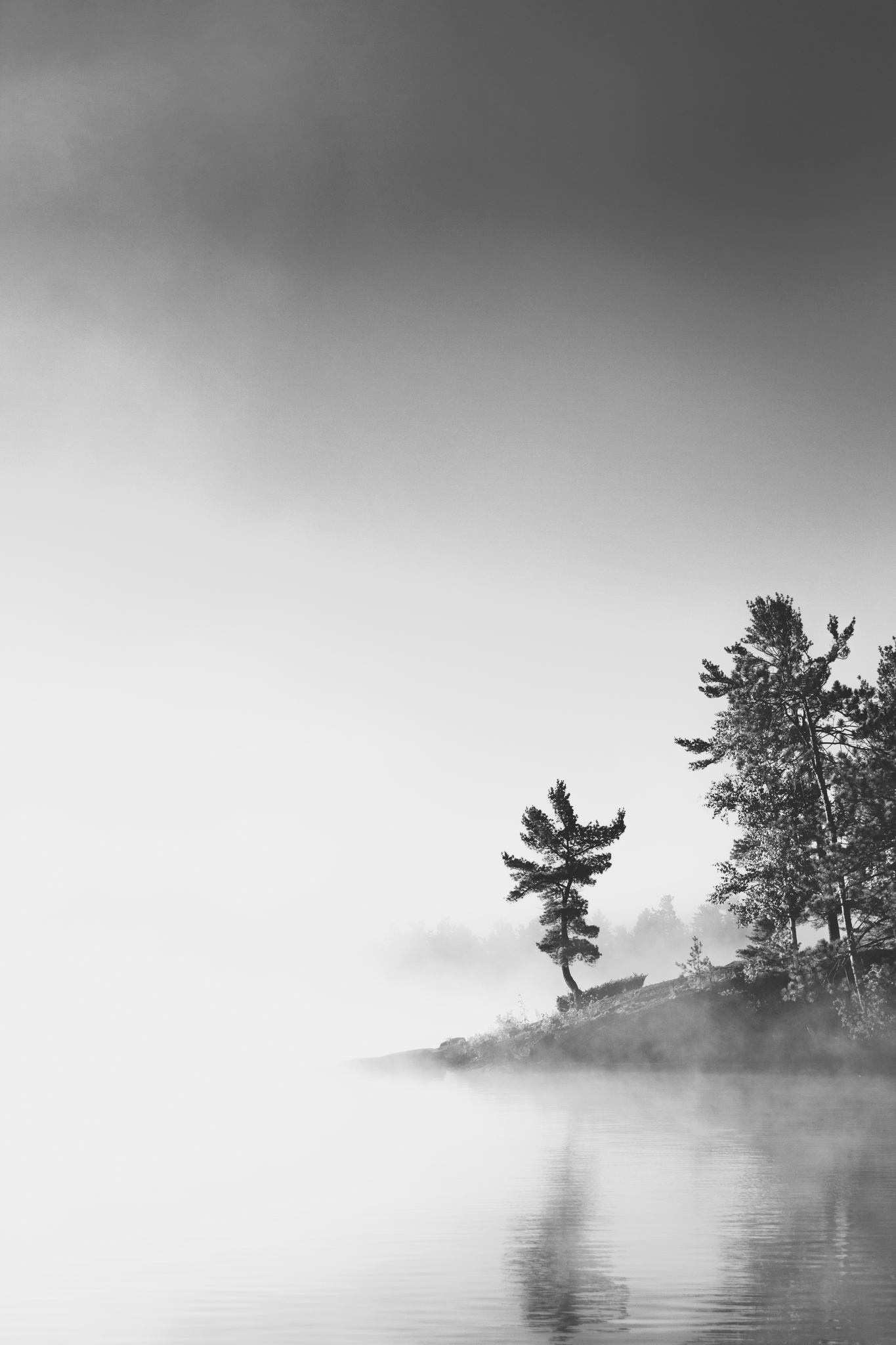 lake, tree, nipissing, fog, morning, coast, frenchriver, dokis, iverviewcottages, canada, blackandwhite, canada, fog, moody, fine, nature, tree, alone, island, small,, Radovanovic Marko
