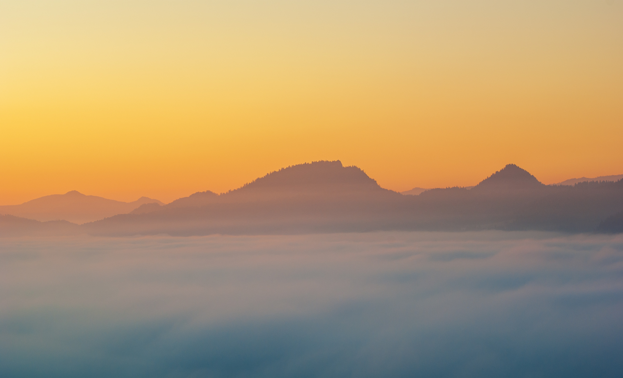 ,  Mirosław Pruchnicki