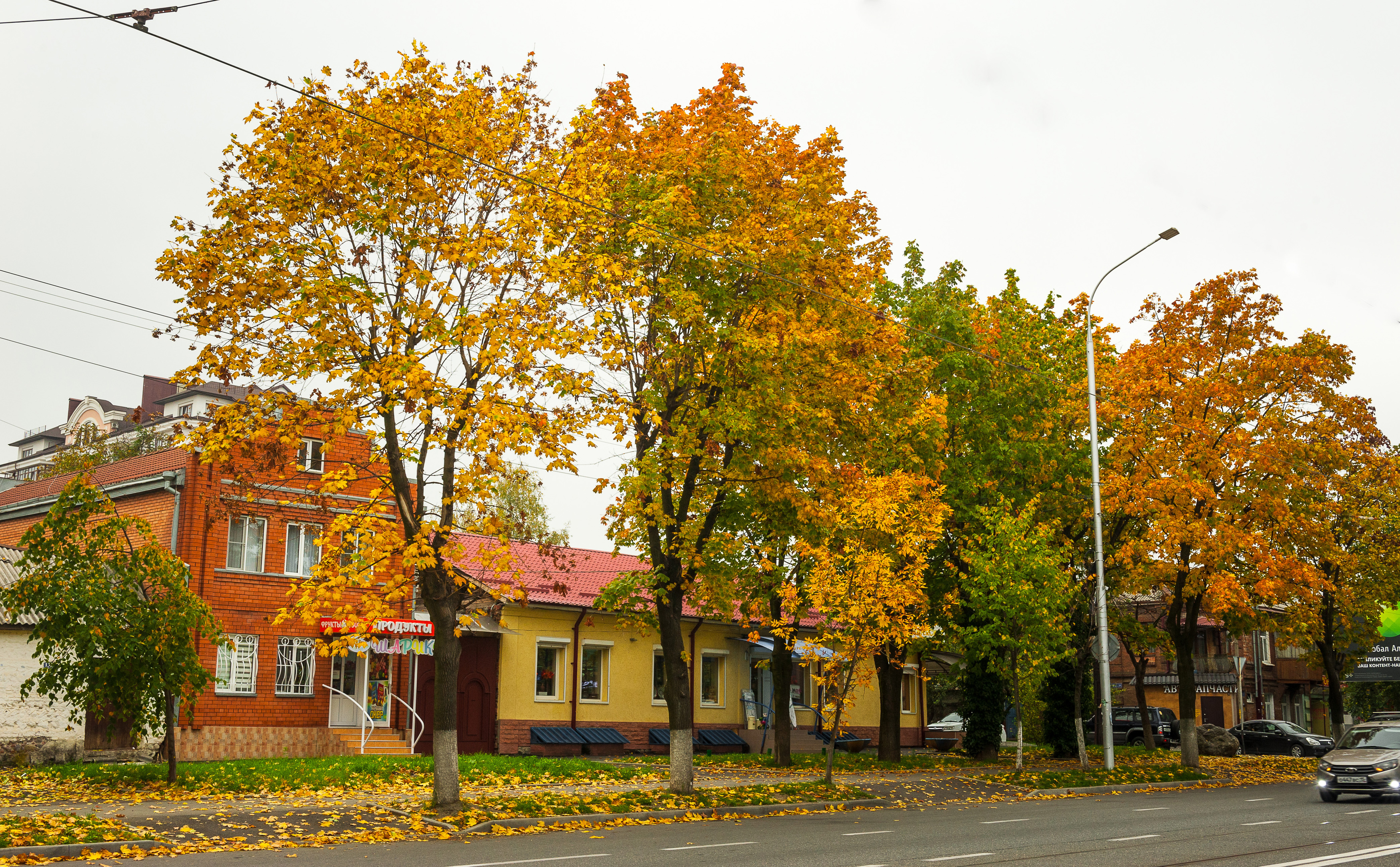 , Табуев Батраз
