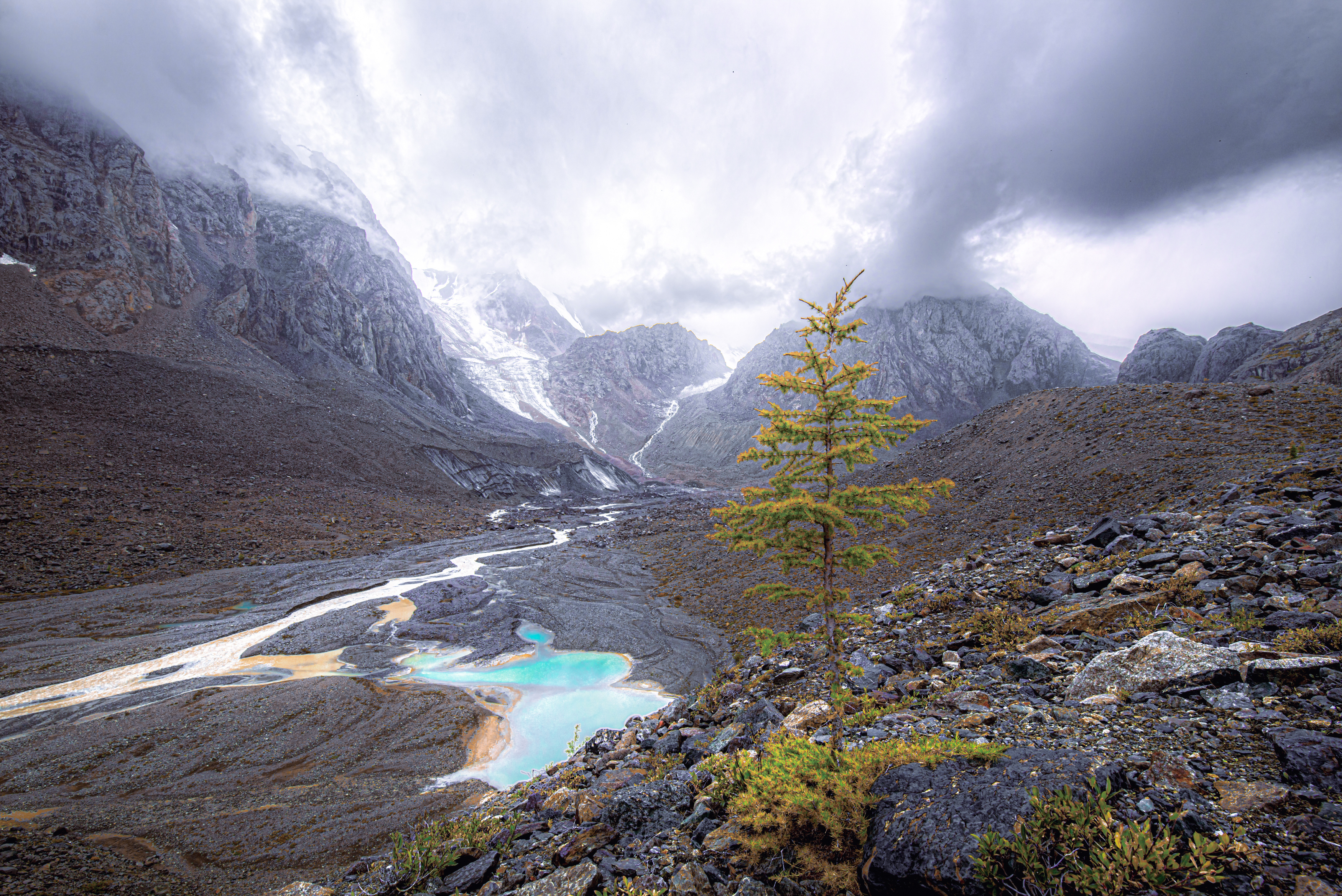 , Усанин Максим