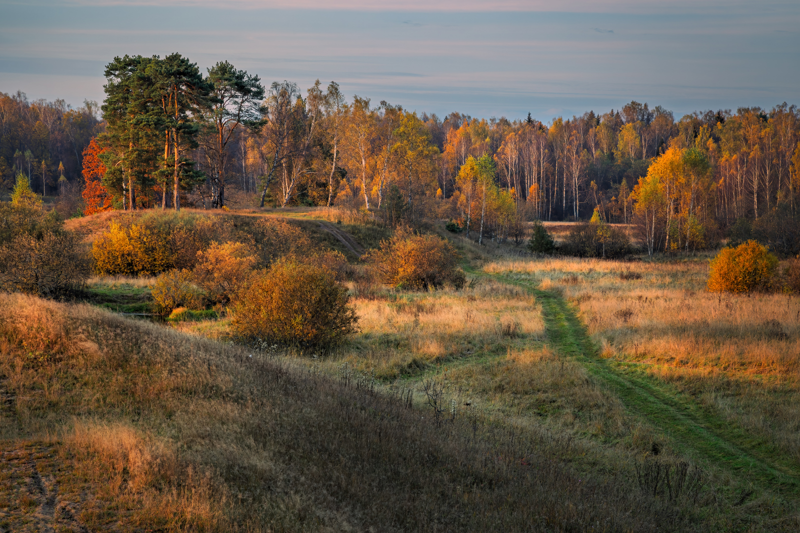 , Евгений Ерохин