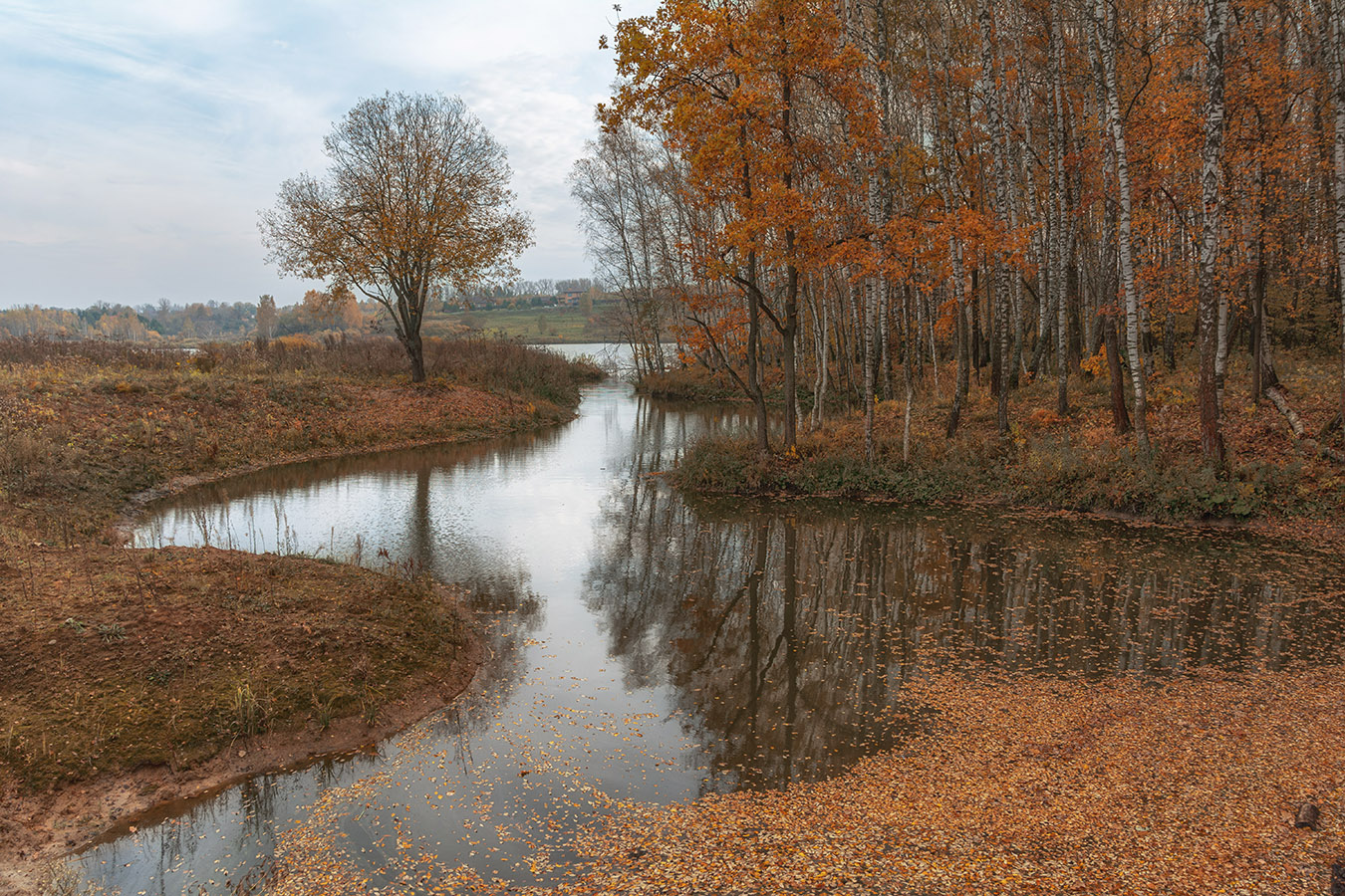, Анатолий Зверев