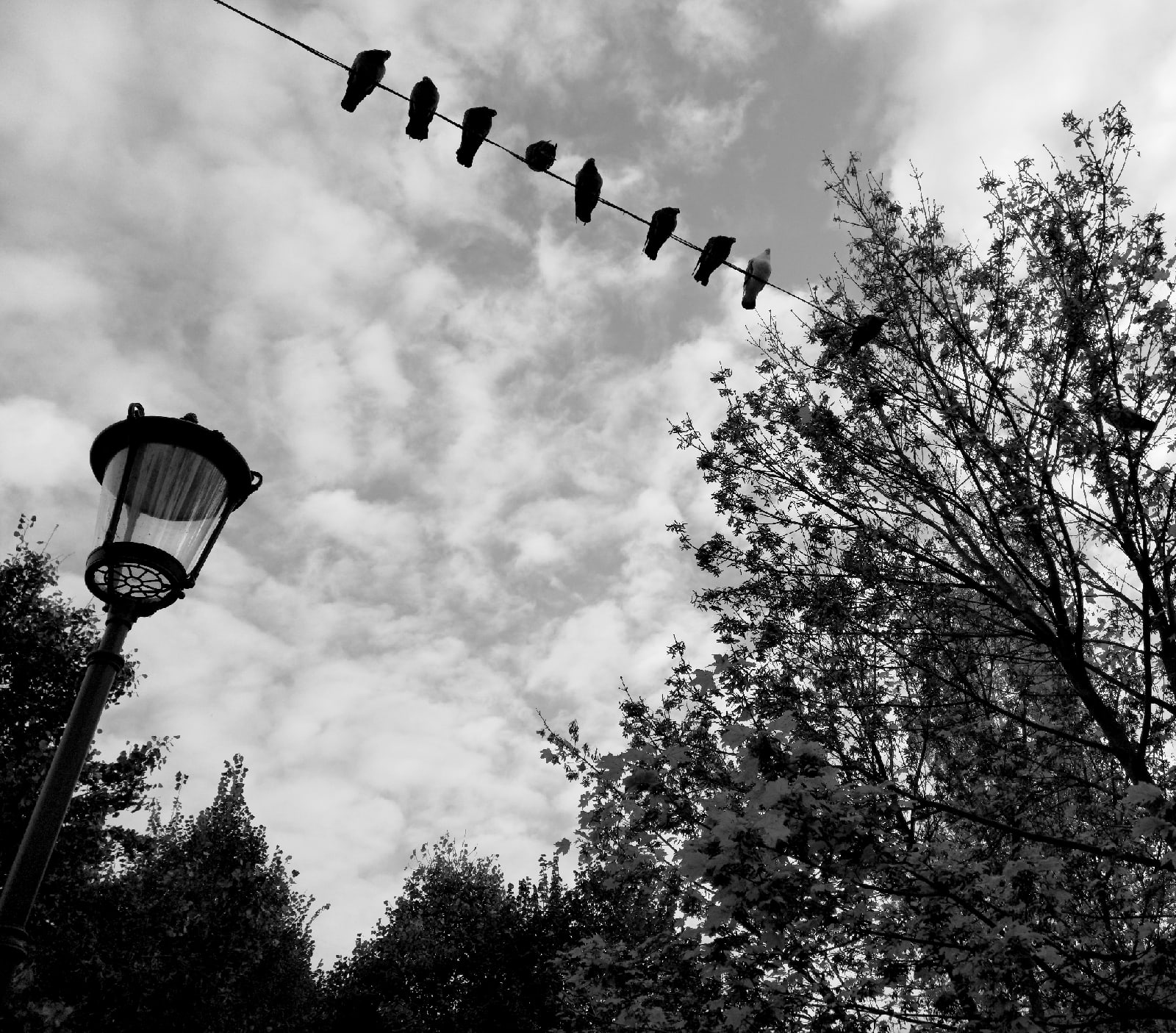 , Антон Лаба