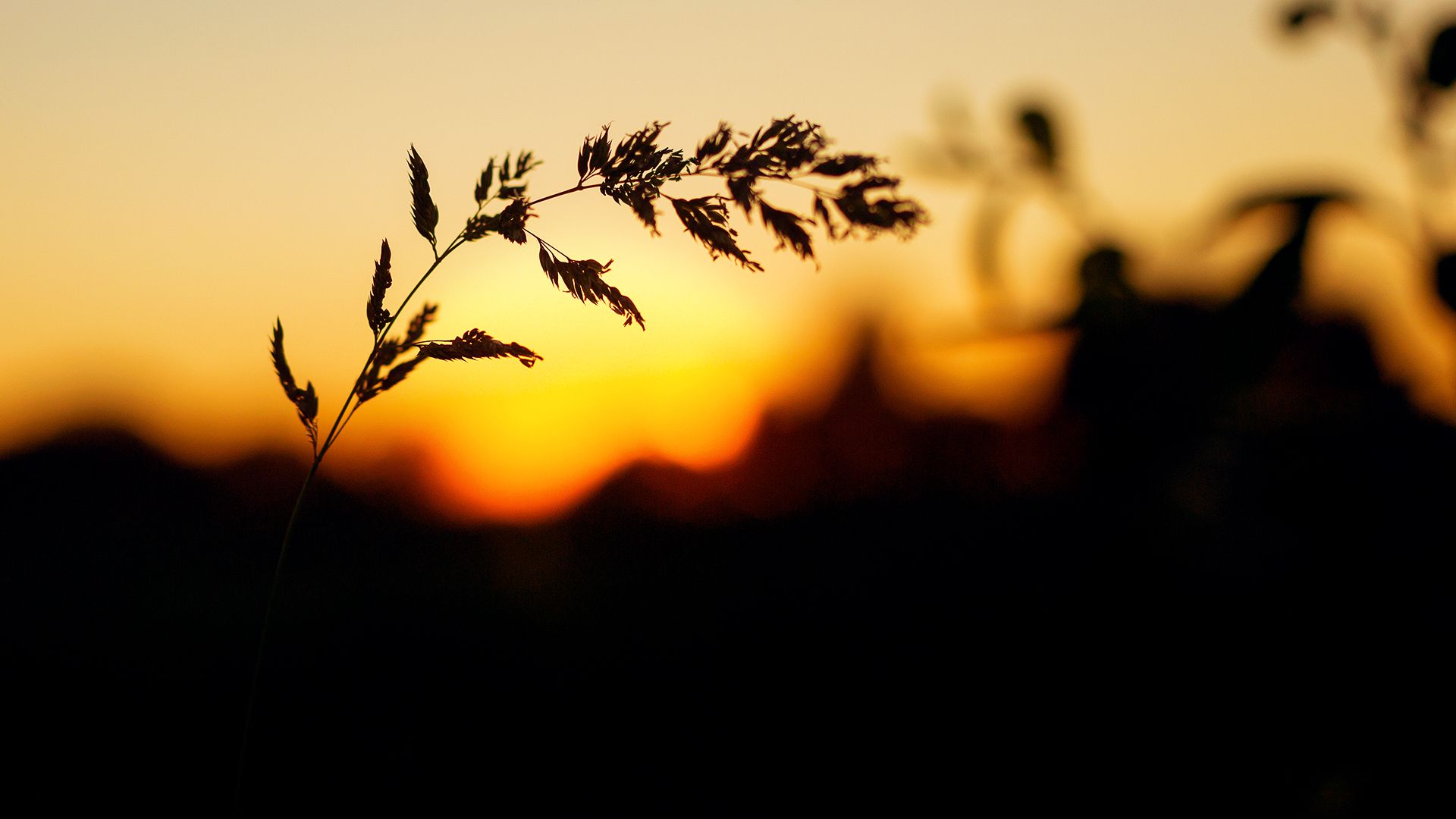 , Фотов Ренат