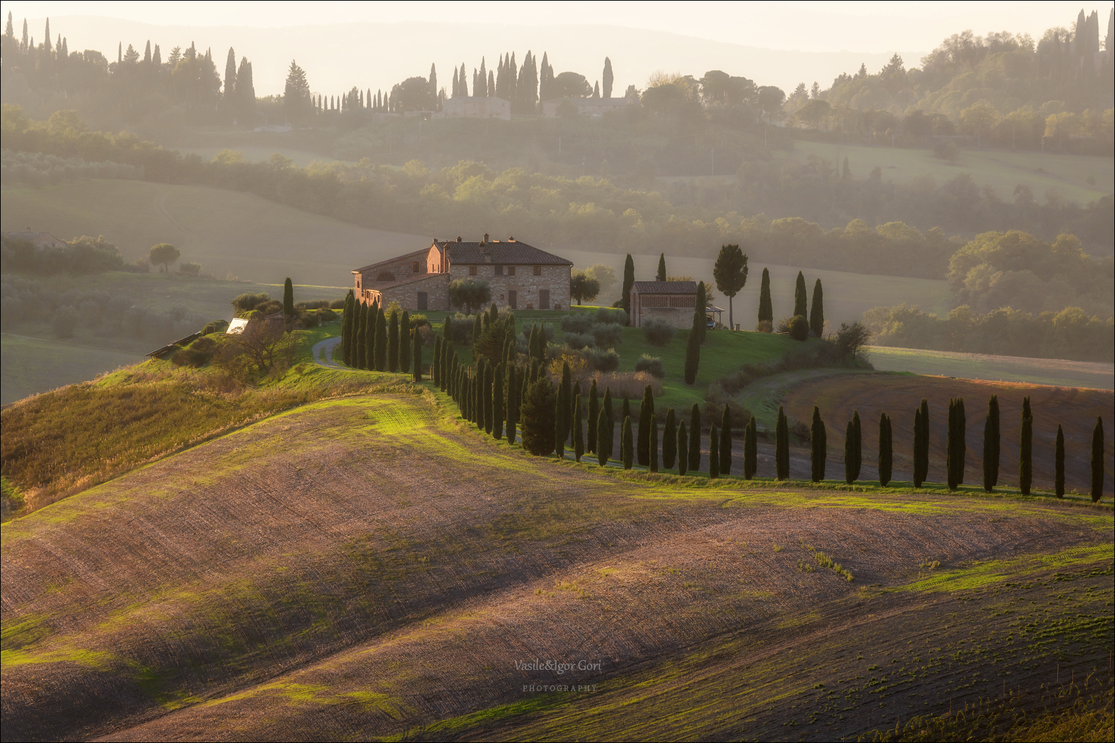 italy,crete senesi,italia,италия,тоскана,кипарис,toscana,осень,tuscany,cipressi,belvedere,asciano,тени,podere baccoleno,rural, Гори Василий