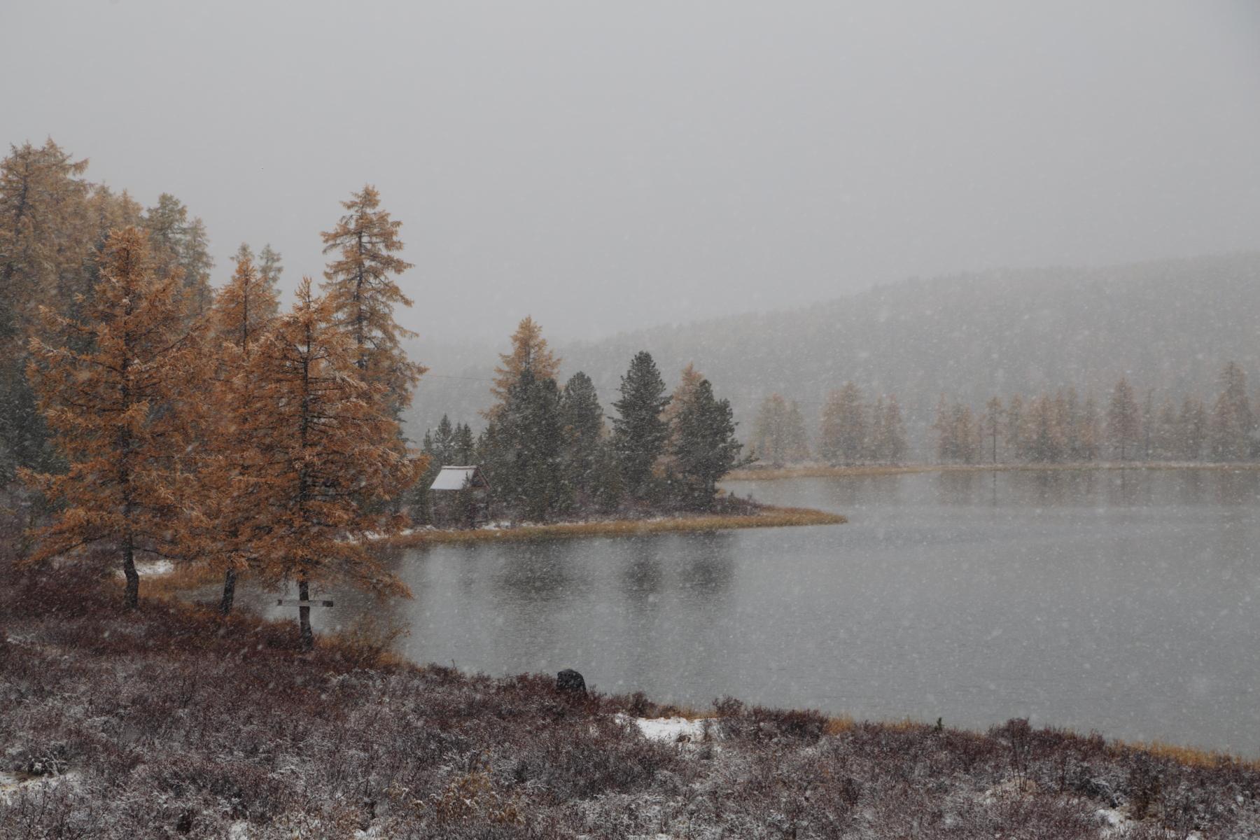 , Евгений Зинов