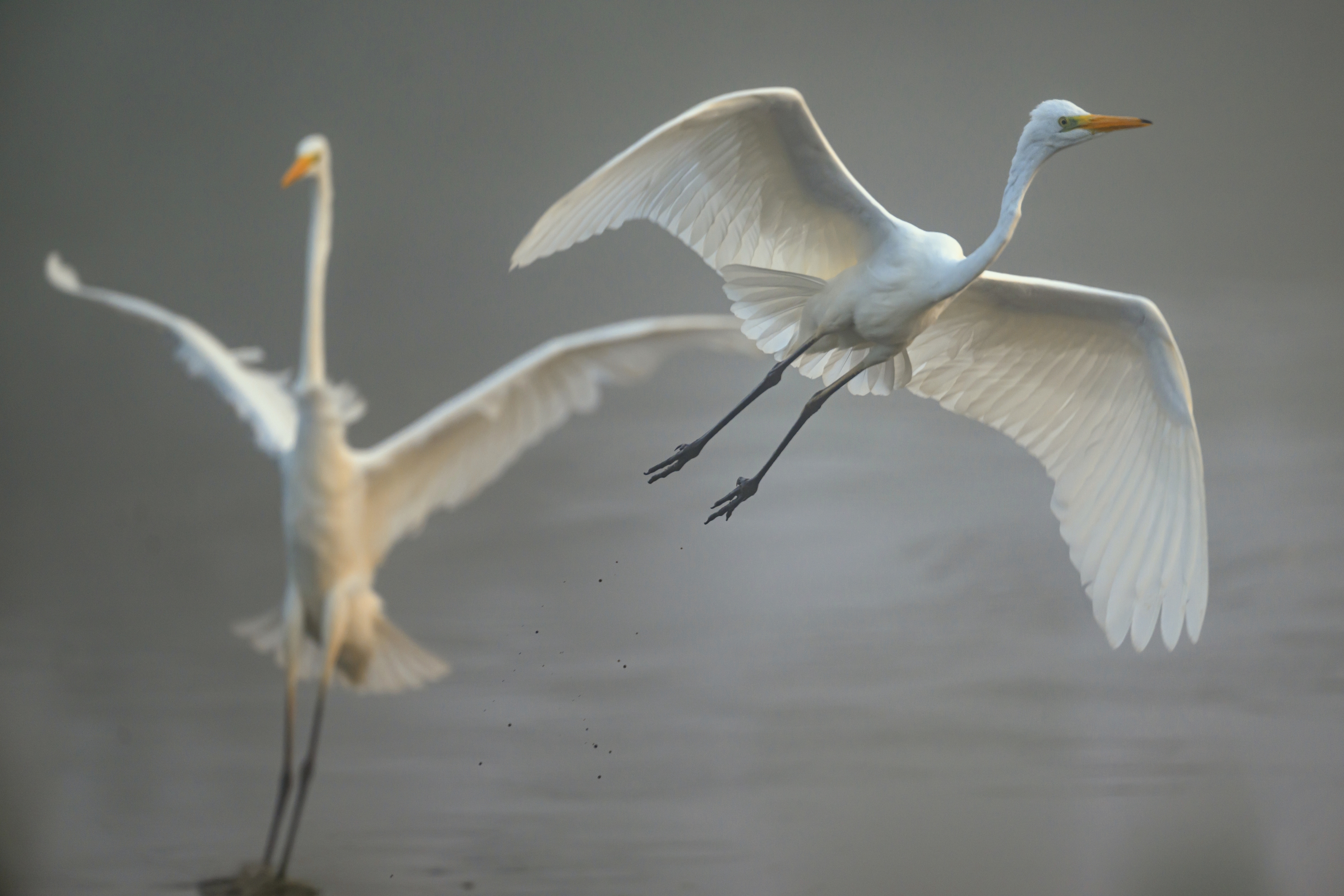 , Пупонин Сергей
