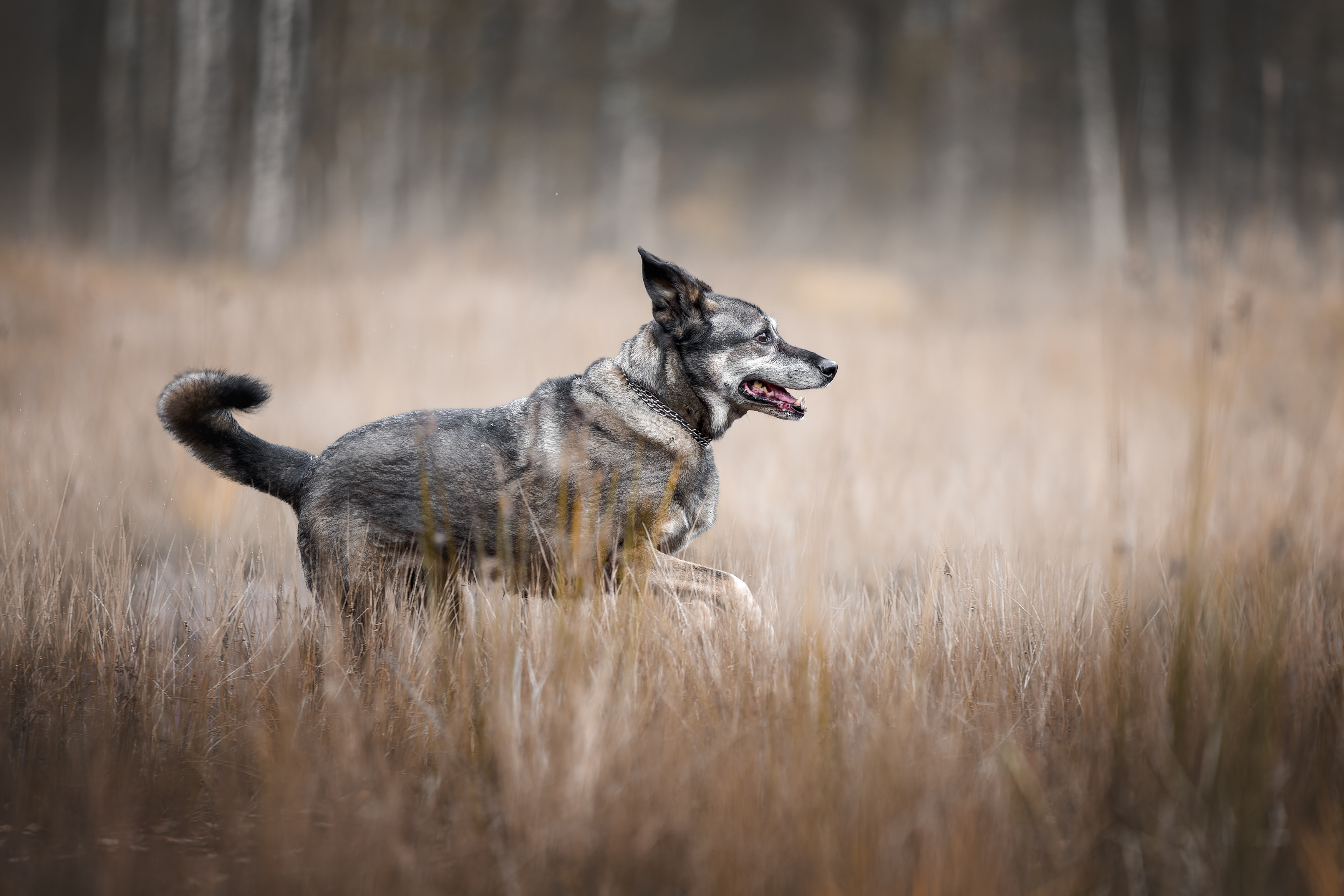 , Ирина Шестакова