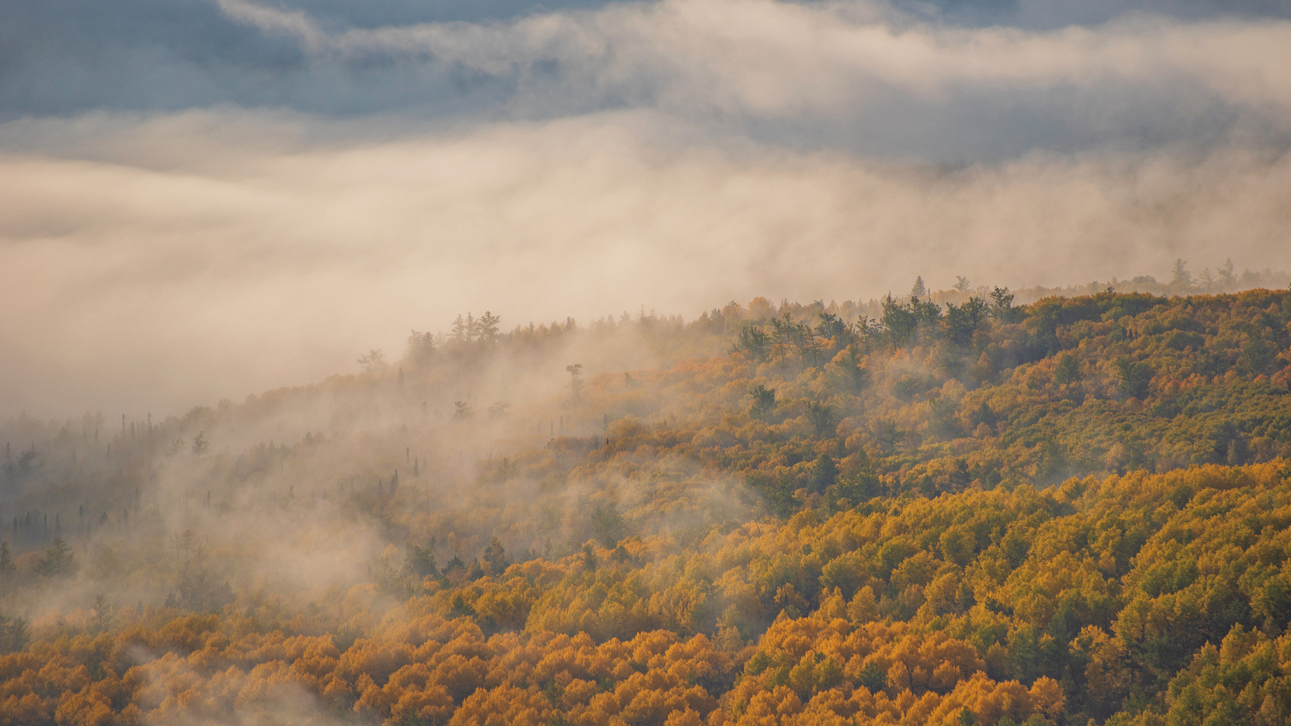 мана, красноярск, утро, восход, туман, краски, осень, горы, тайга, золото, долина, скалы, Мальцев Юрий