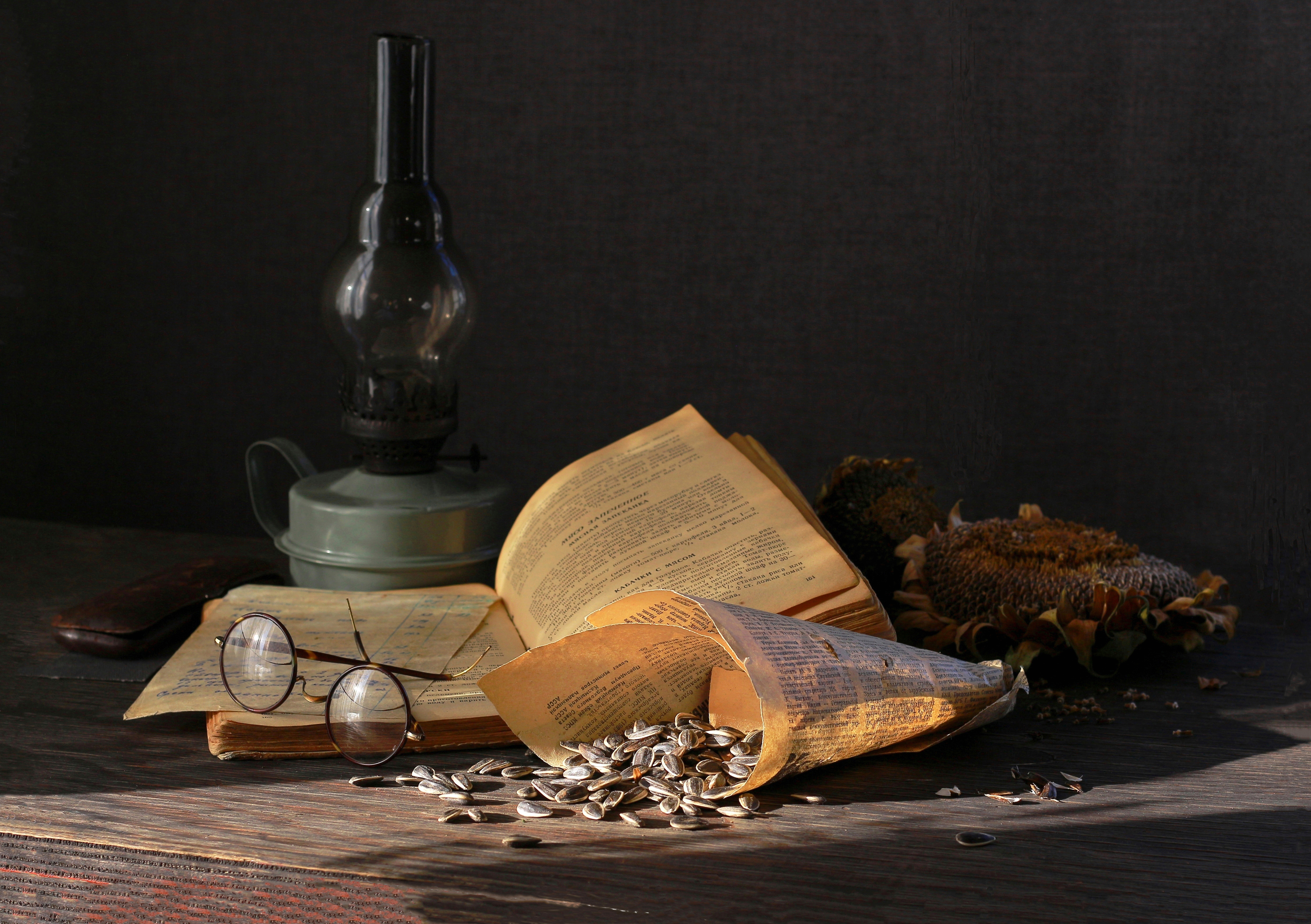 натюрморт, фотонатюрморт, still life, stillifefoto, осень, подсолнух, очки,, семечки, лампа, наталья_казанцева, Наталья Казанцева