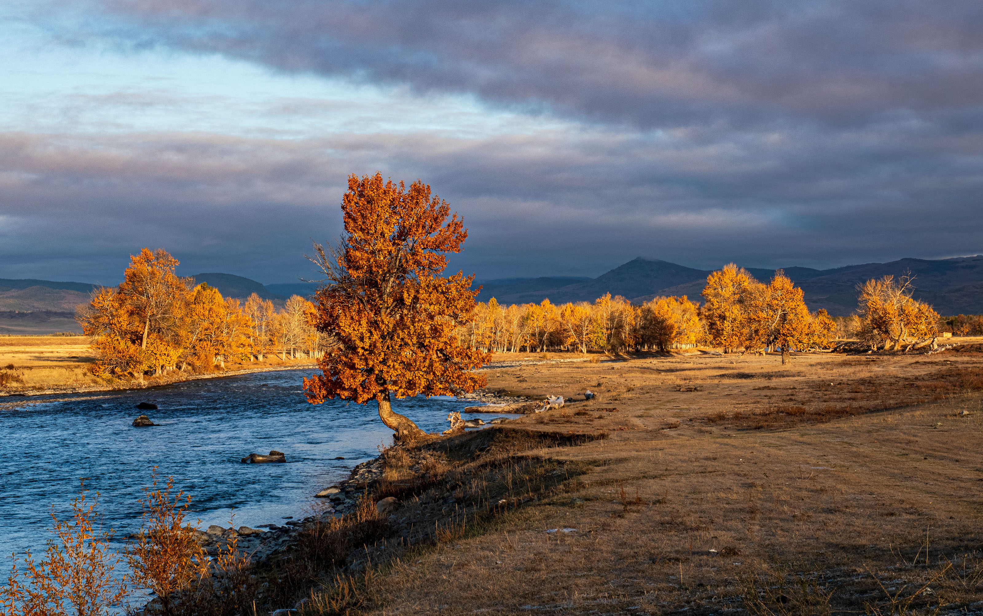 алтай, Добролюбова Тамара