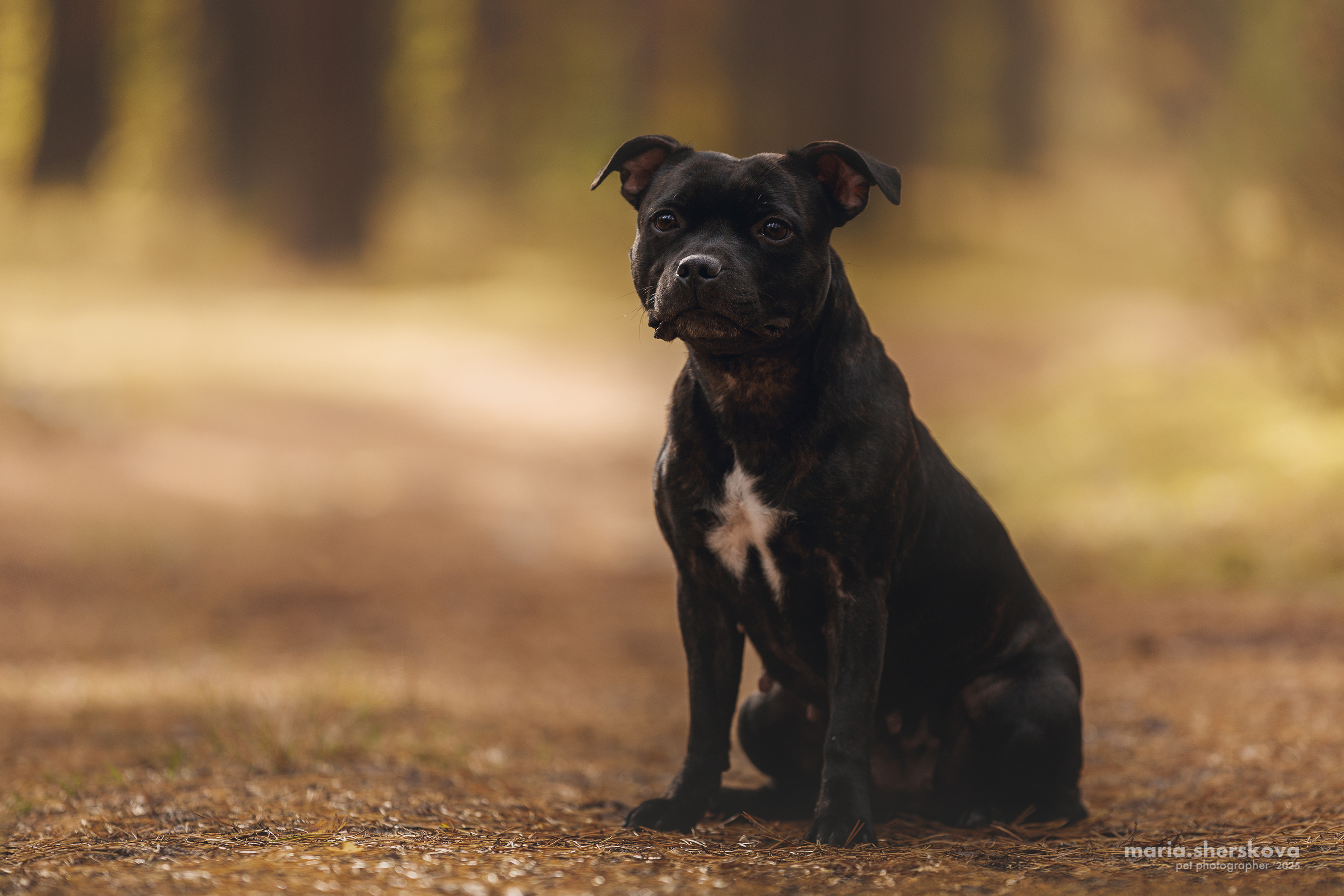 , Шерскова Мария