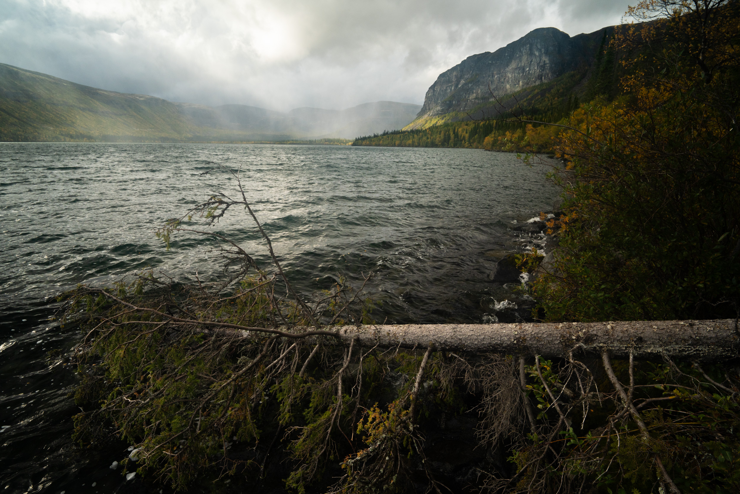 , Ян Сурогин