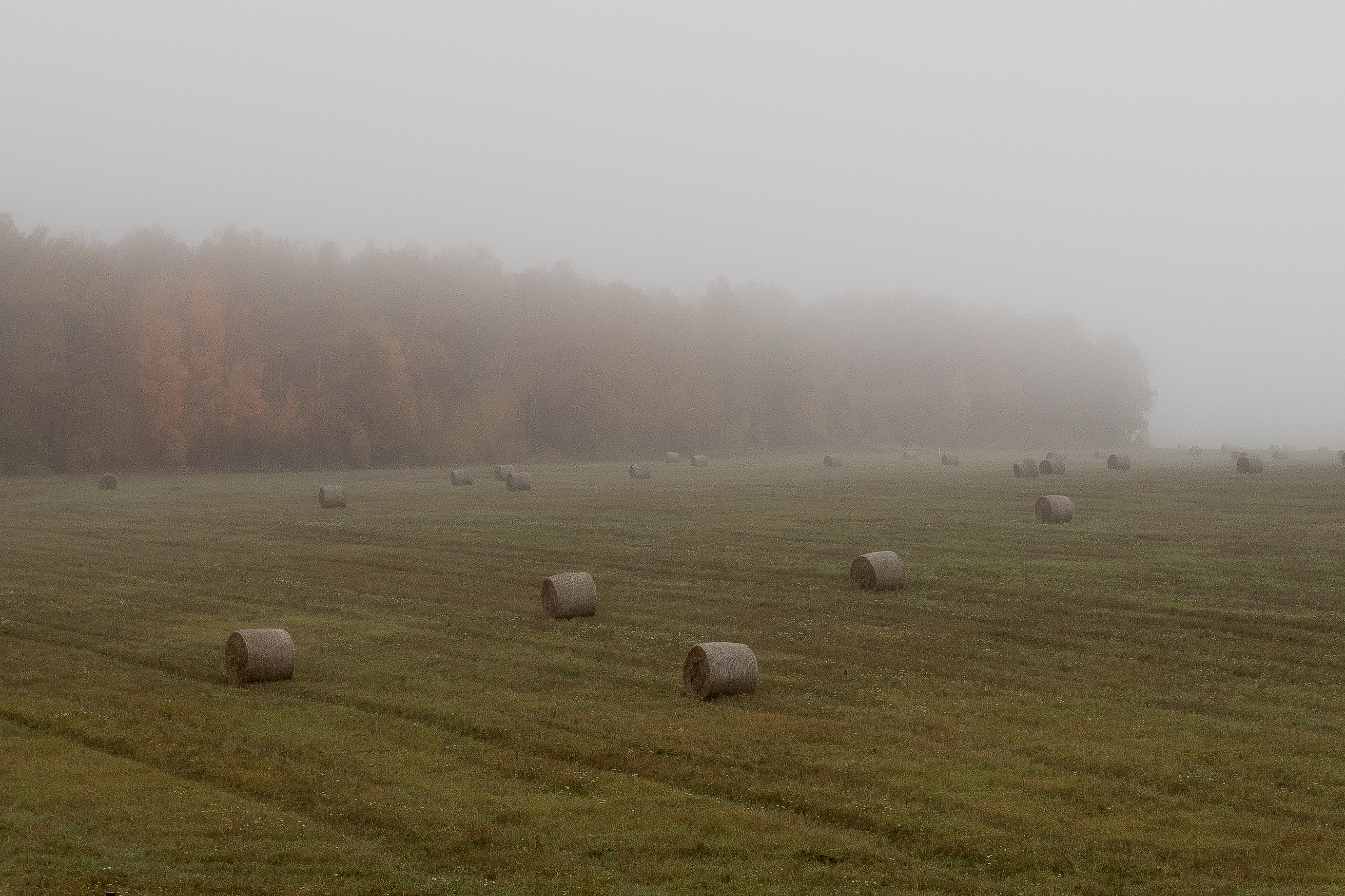 природа, сено, осень, туман, унылая пора, пейзаж, Мартыненко Дмитрий