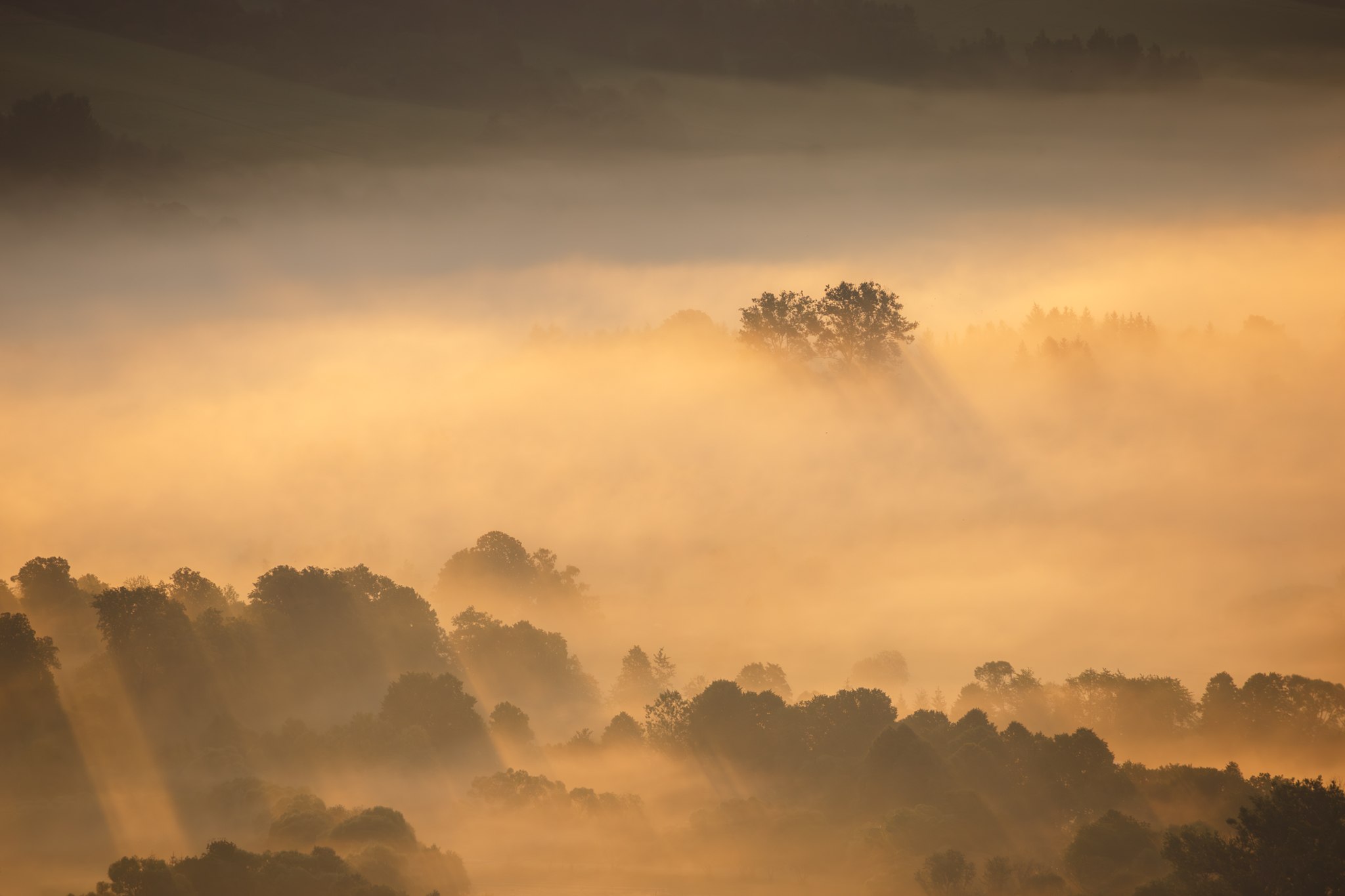 ,  Mirosław Pruchnicki