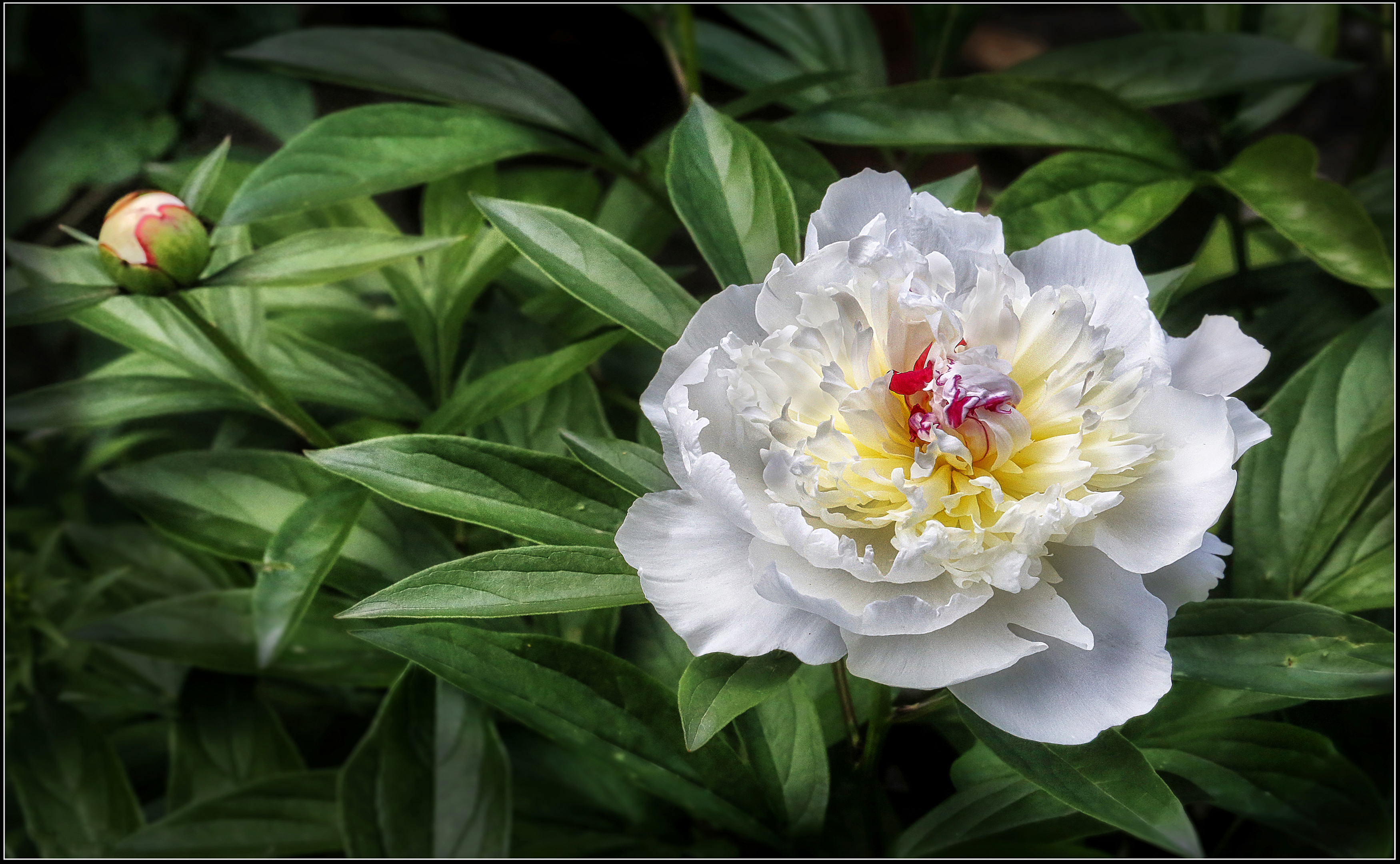 , Ушаков Валерий