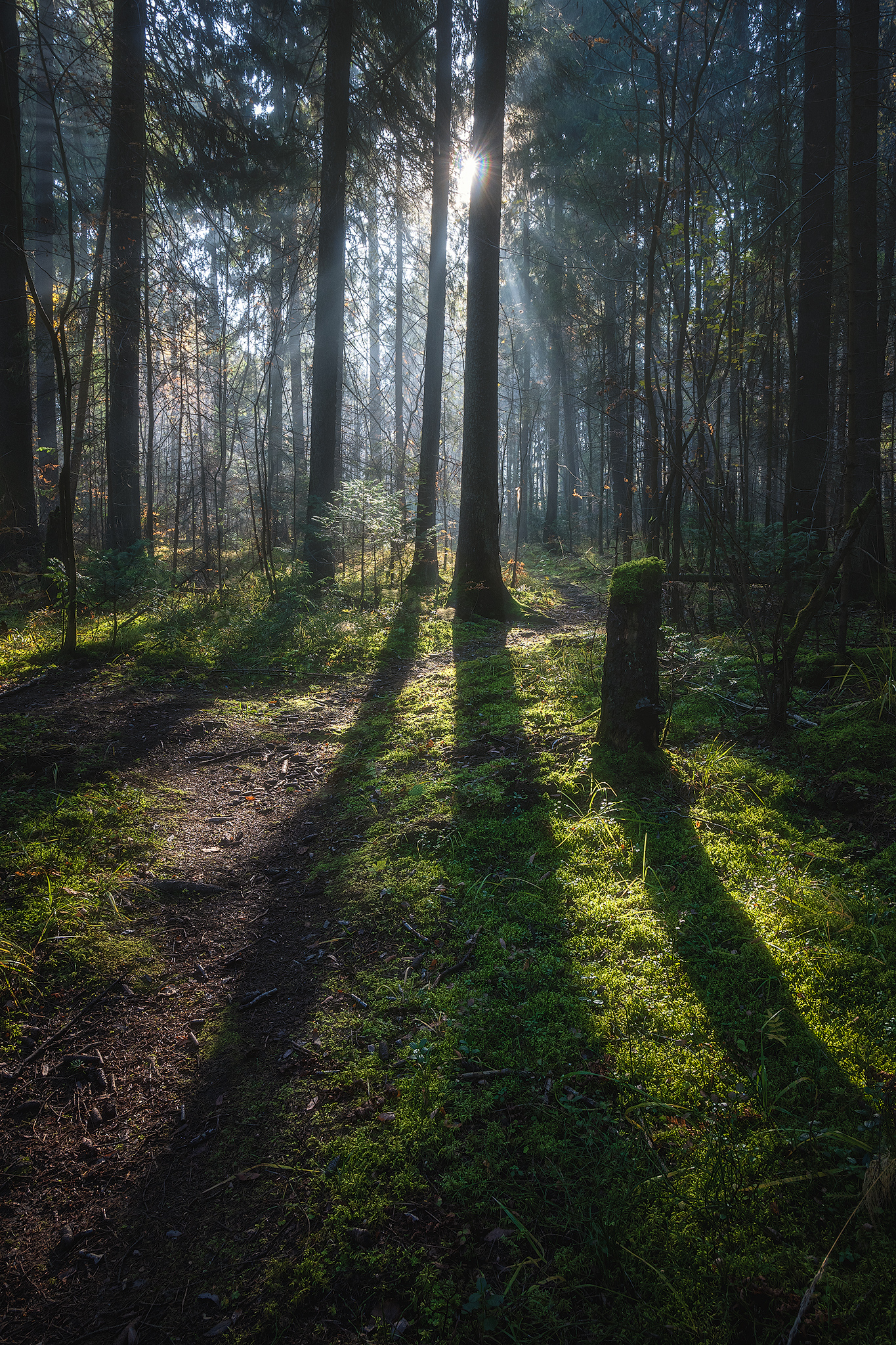пермский край, пейзаж, рассвет, красота природы, поле, лес, солнце, туман, утро, осень, Кузнецов Кирилл