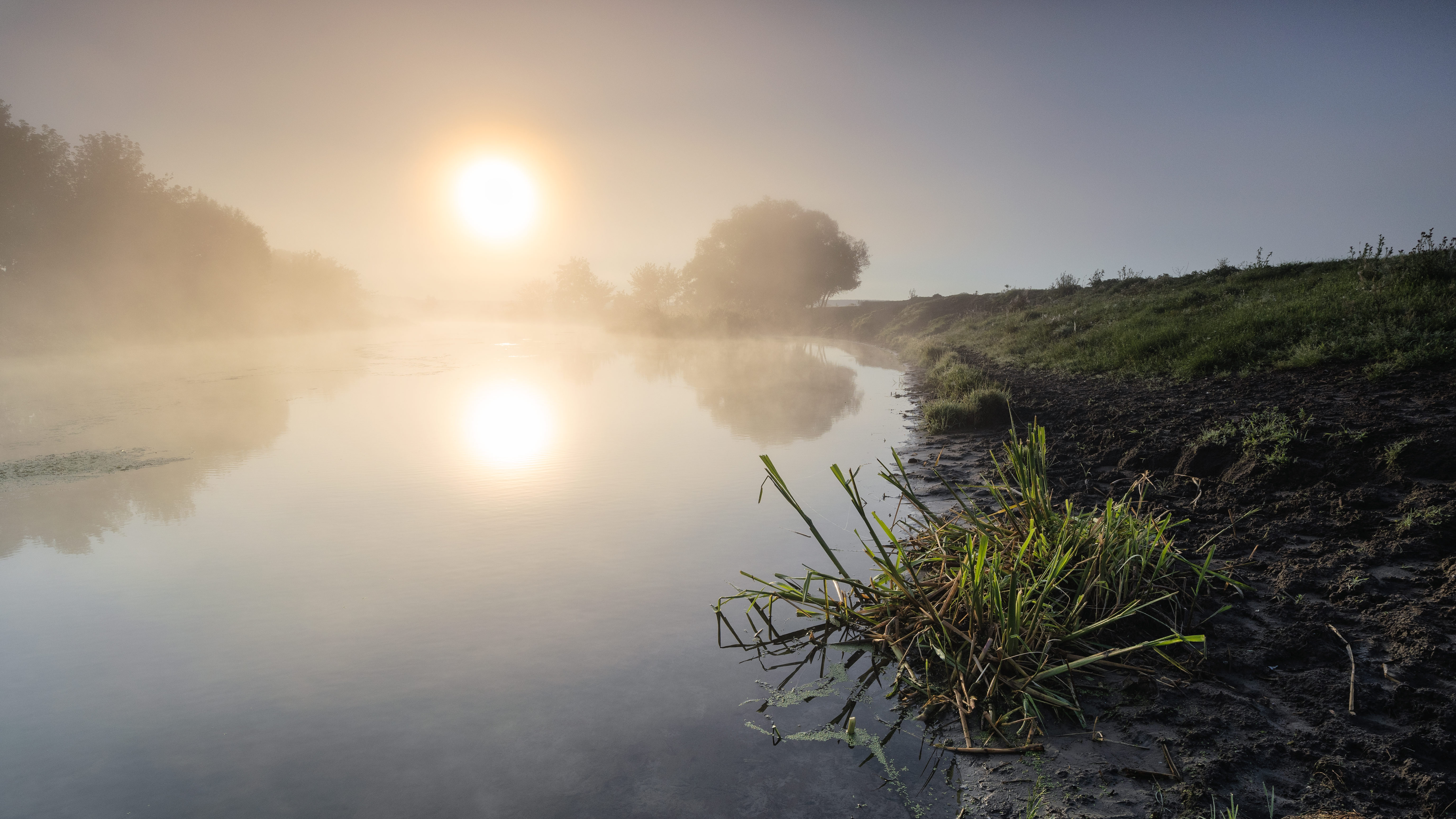 , Александр Бредихин