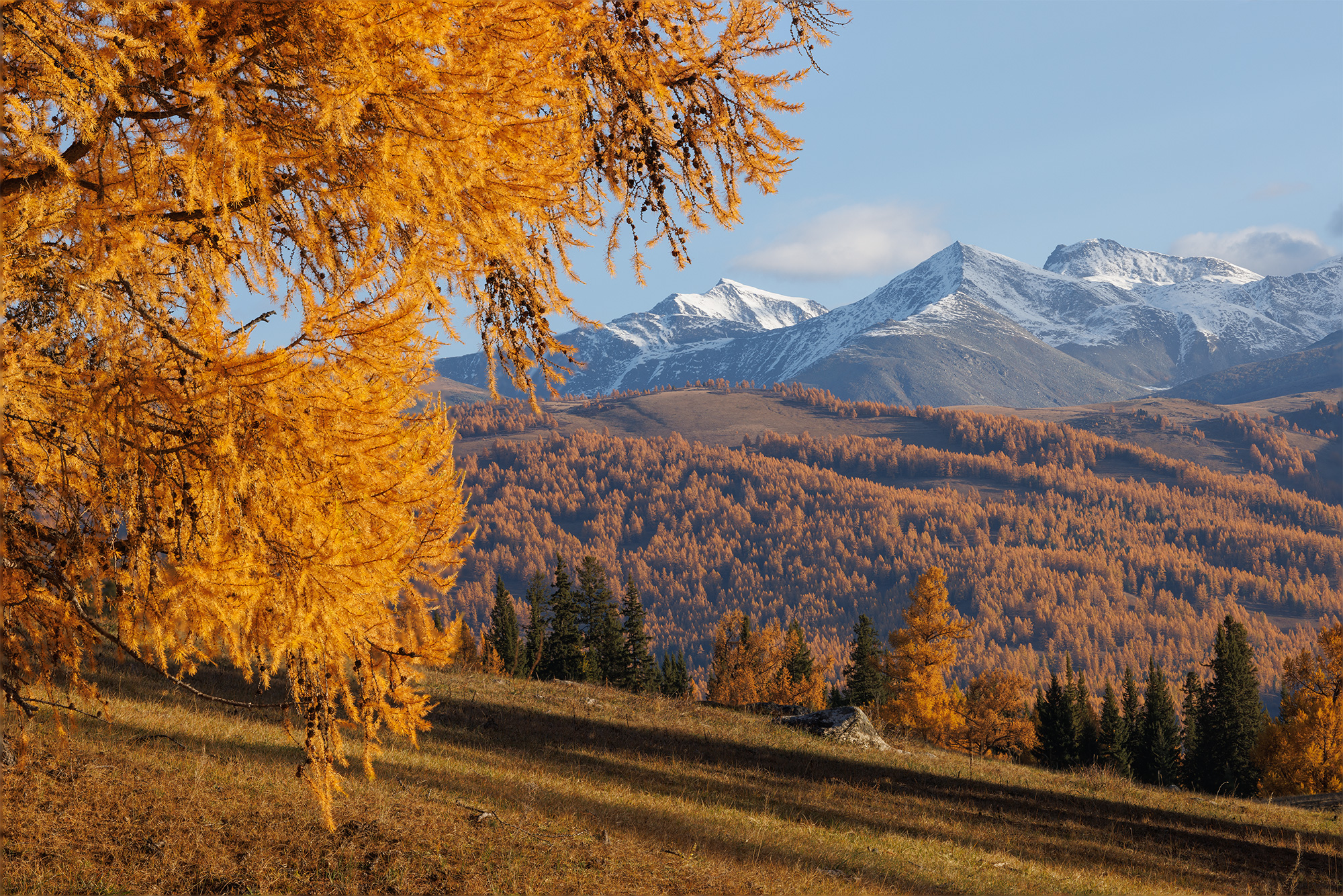 , Морозов Сергей