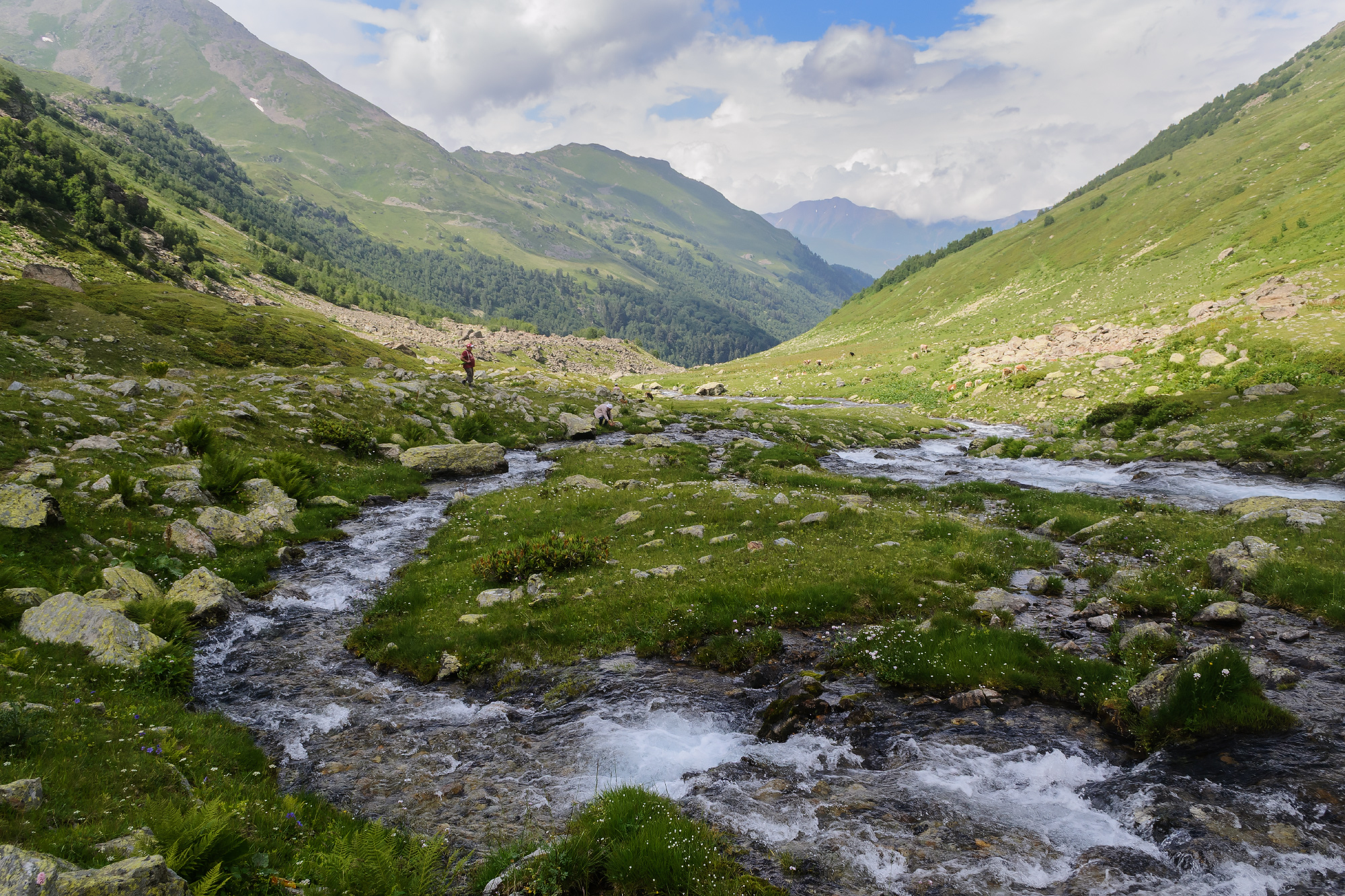 , Лысенко Сергей