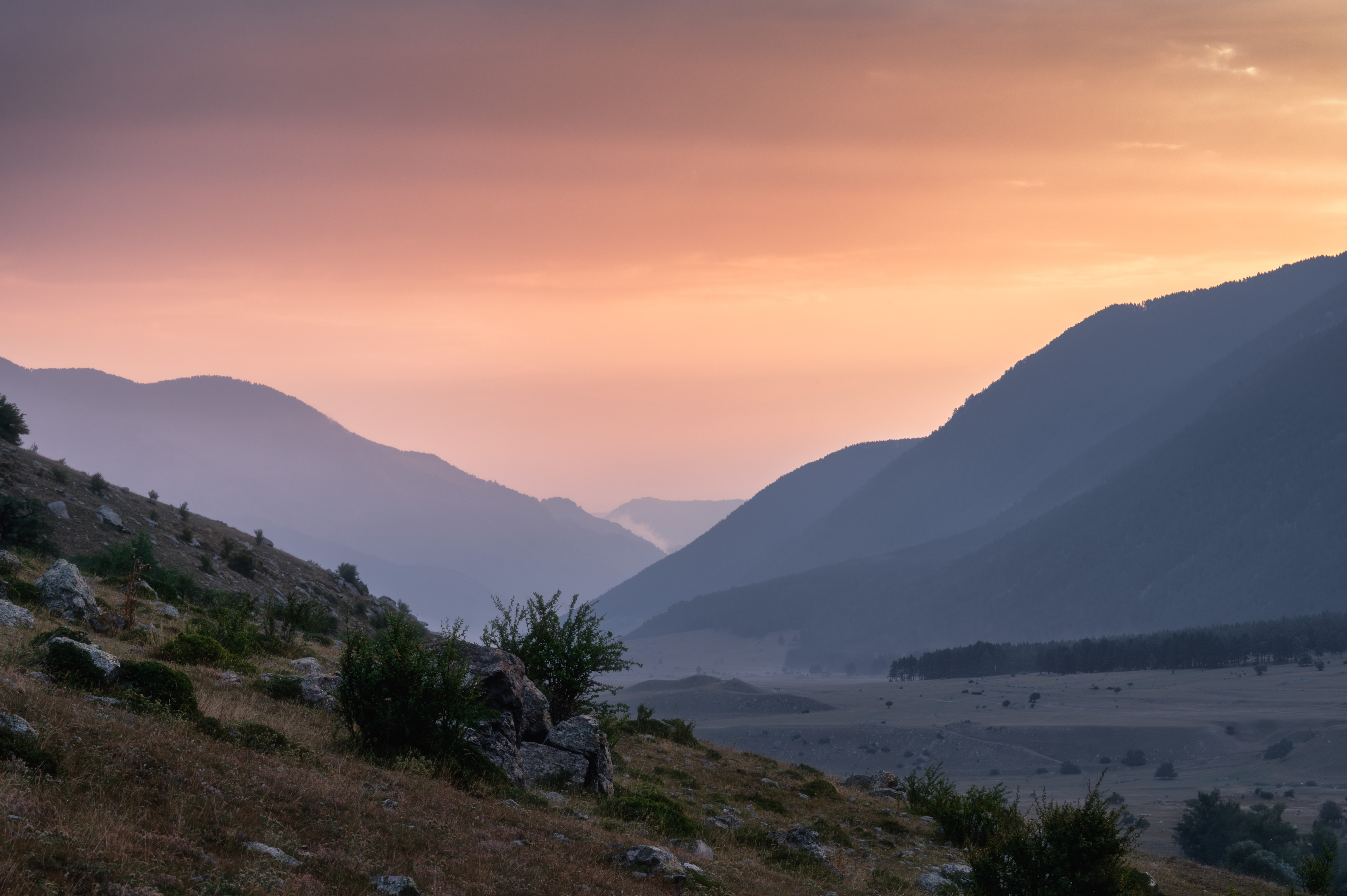 , Алексей Турчин