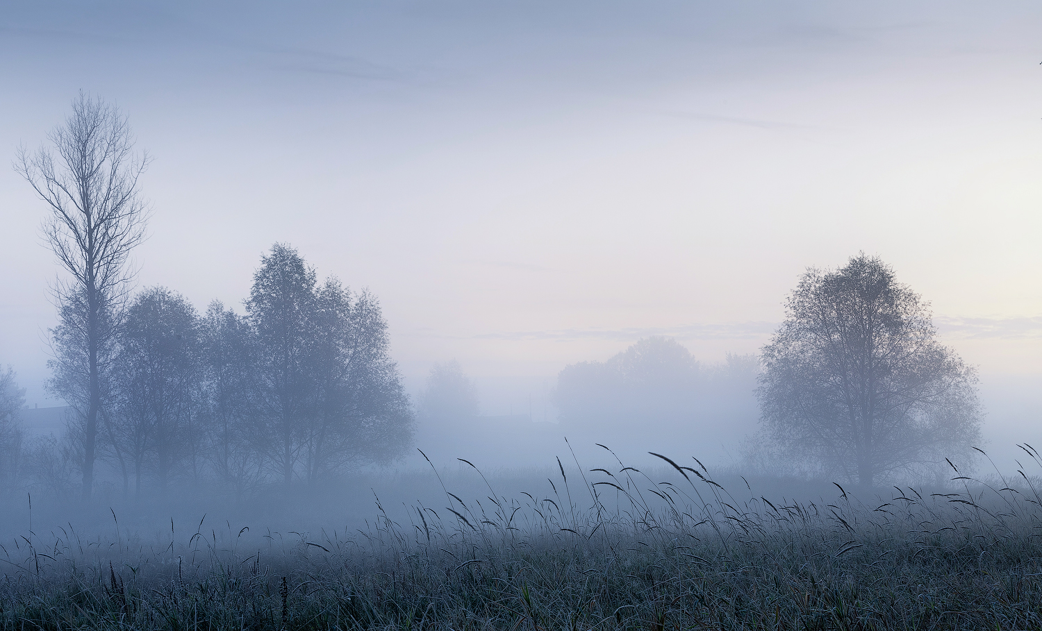 утро осень туман, Михаил Корнилов