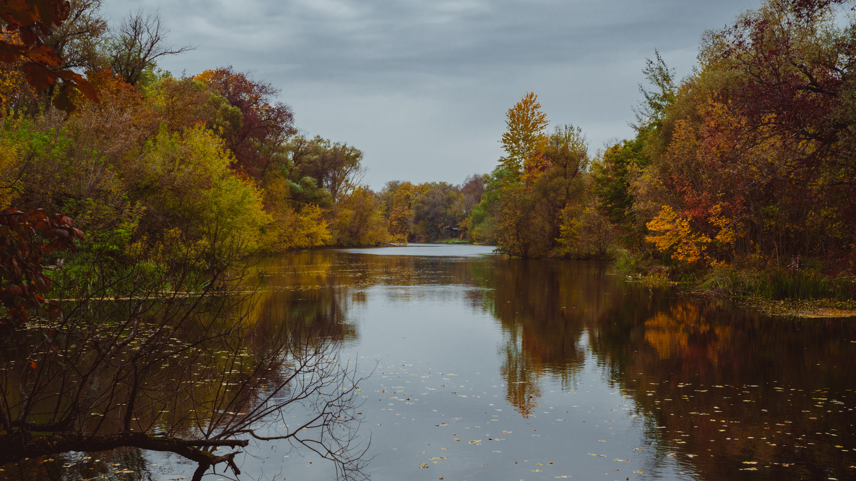 , Вертиков Юрий