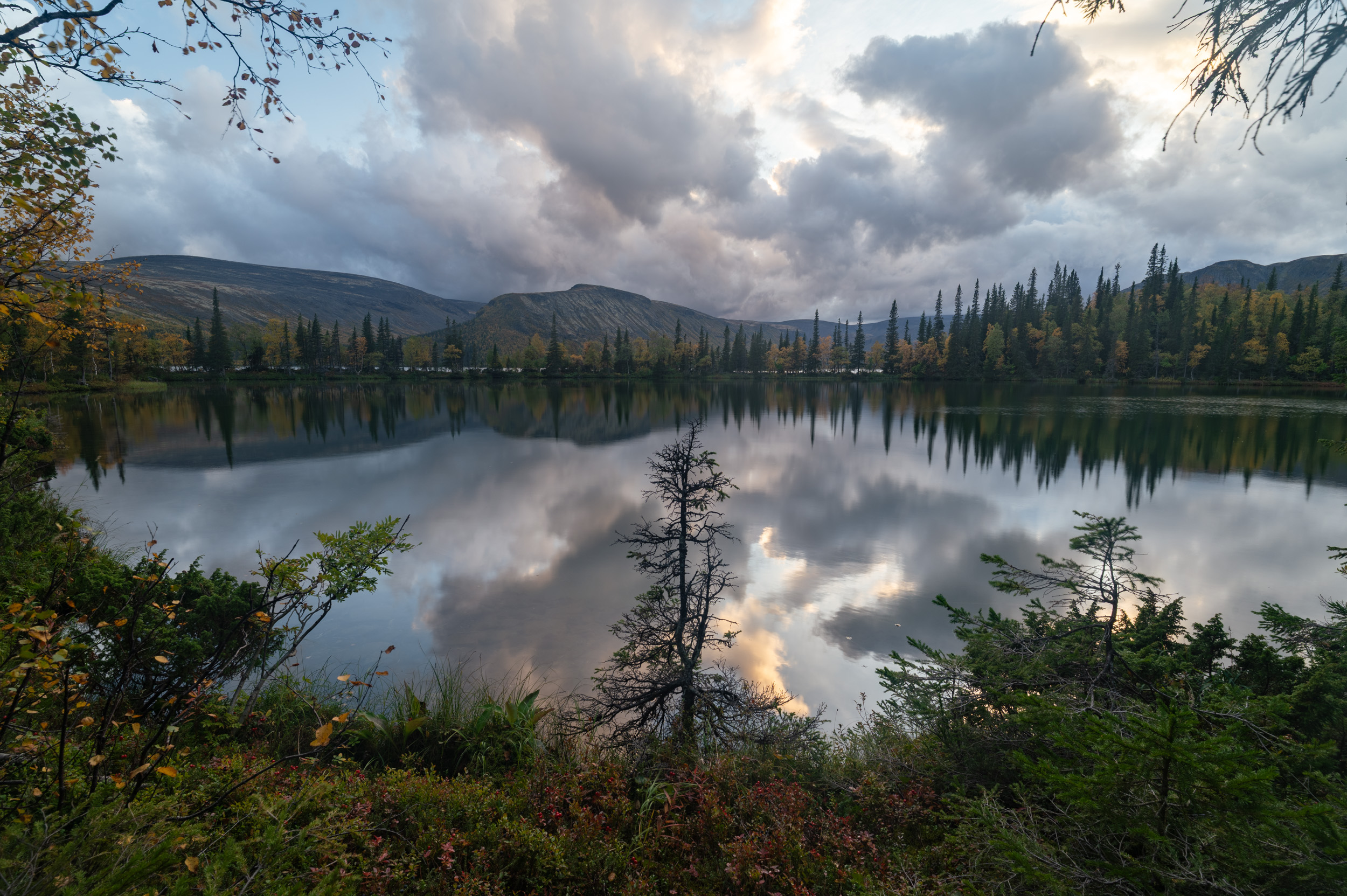 , Ян Сурогин