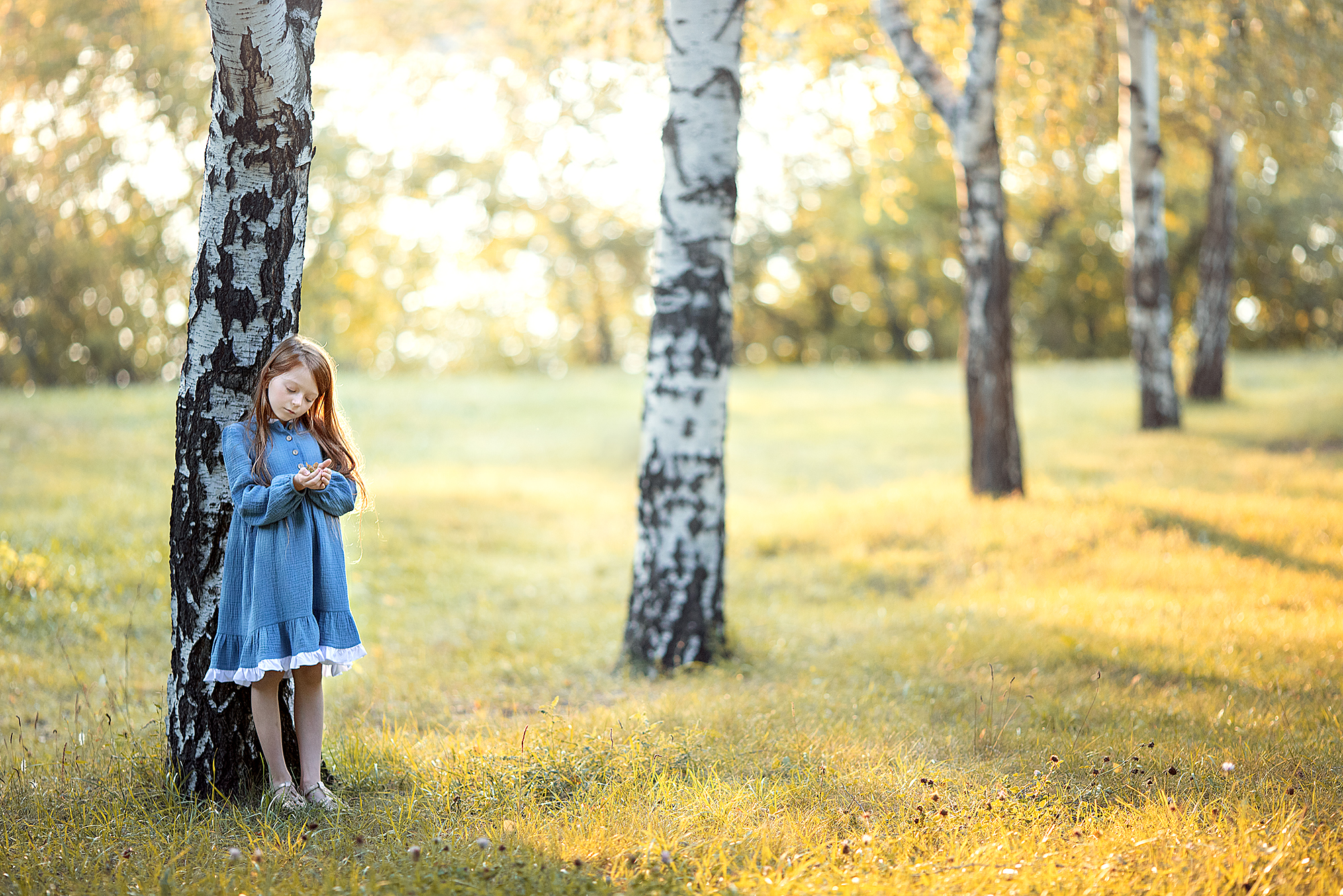 , Солнечный Александр