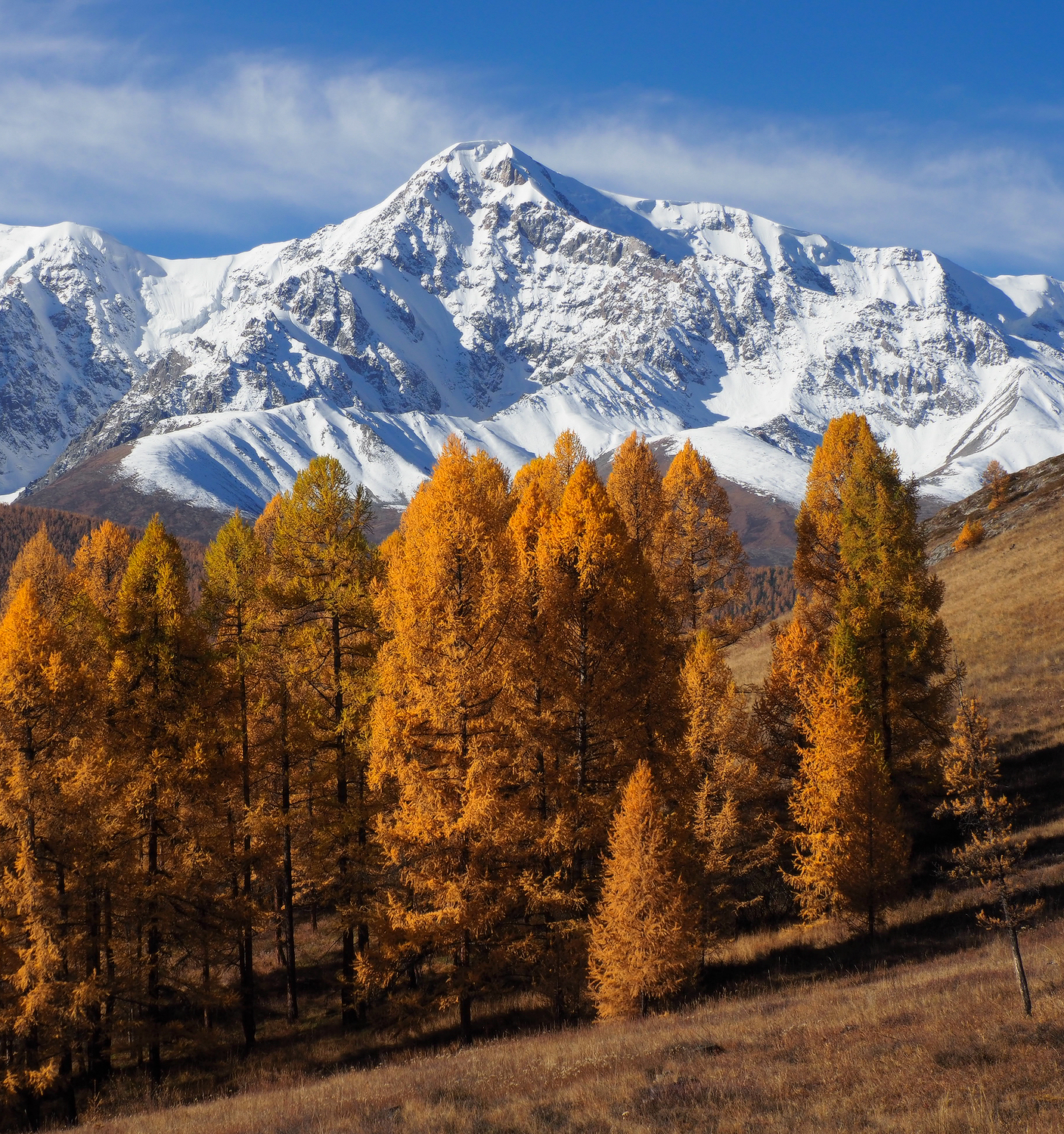 Алтай, Горный Алтай, Республика Алтай, Галина Хвостенко