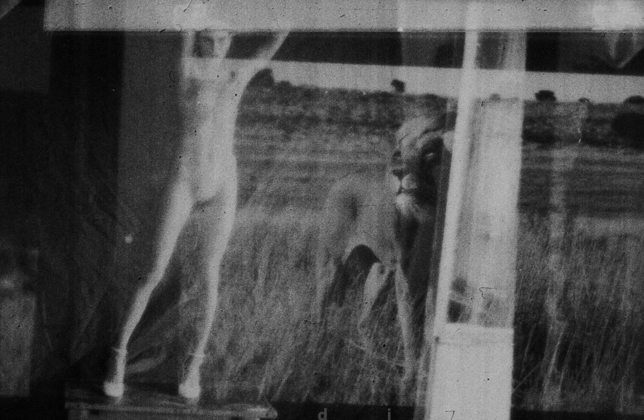 , Нагие Июми