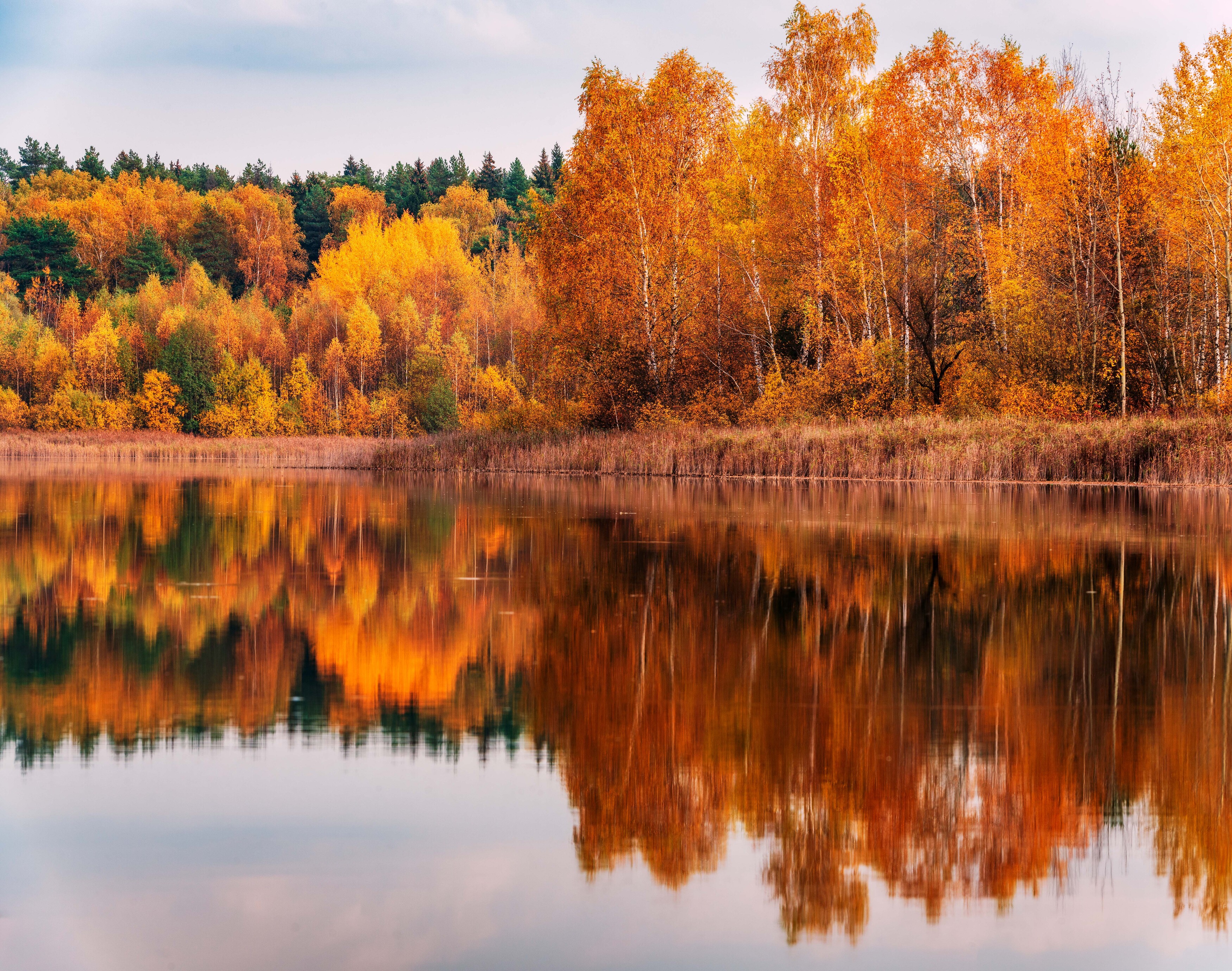 , Павел Ныриков