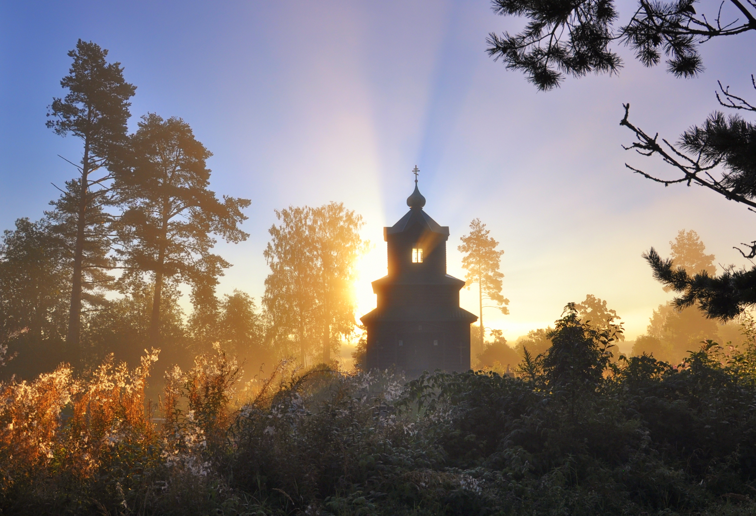 , Андрей Куликов