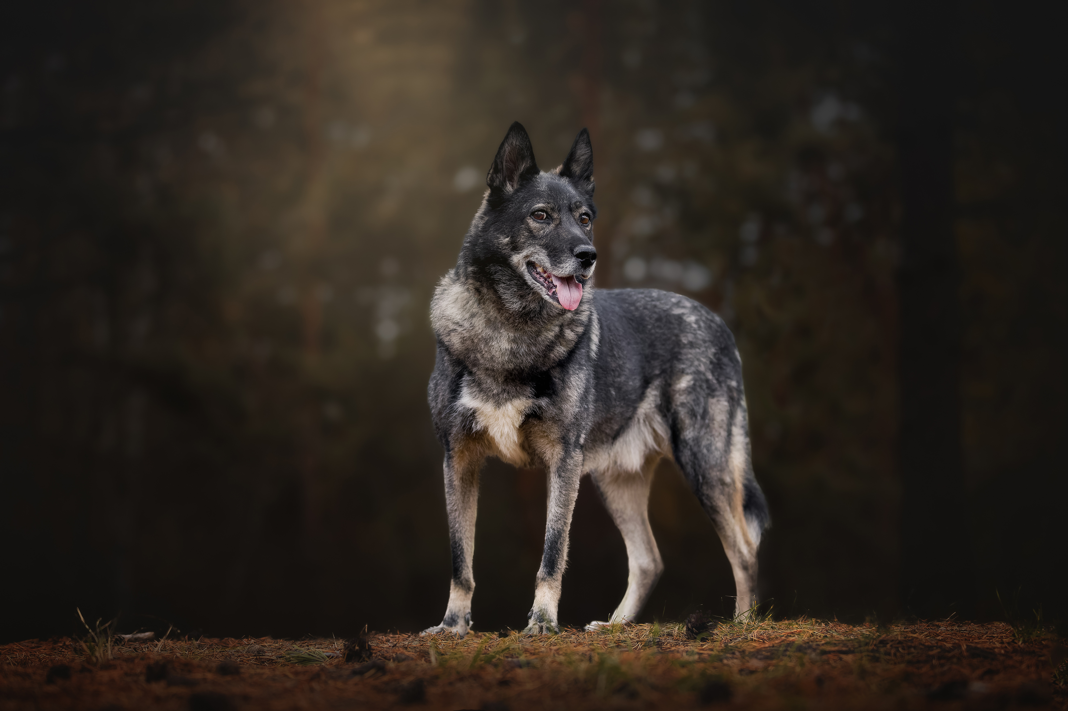 , Ирина Шестакова